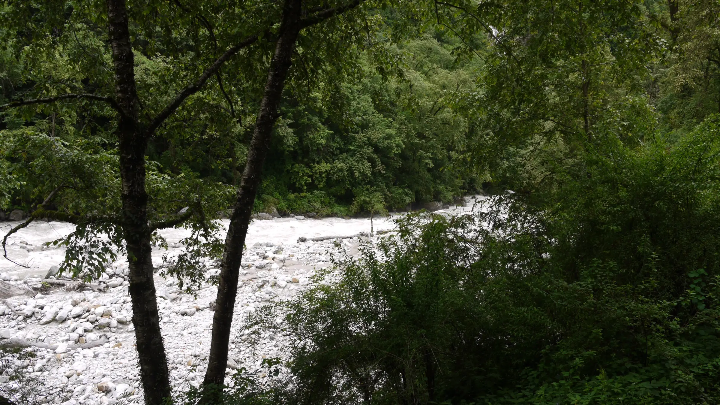The boulder-filled Lakshman Ganga river seen through trees near Bhyundar village, on the first day of the trek from Govindghat