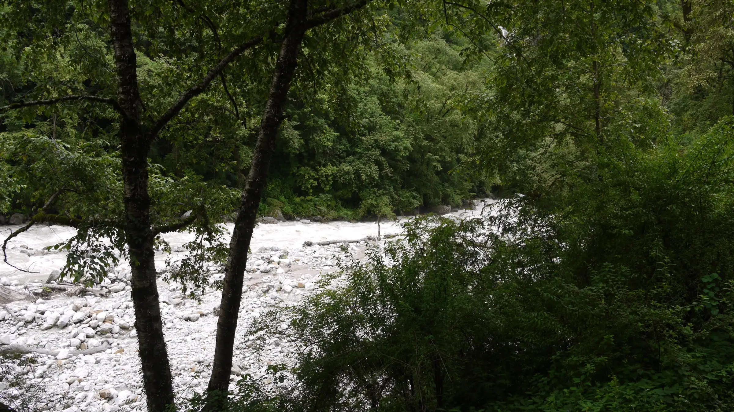 The boulder-filled Lakshman Ganga river seen through trees near Bhyundar village, on the first day of the trek from Govindghat