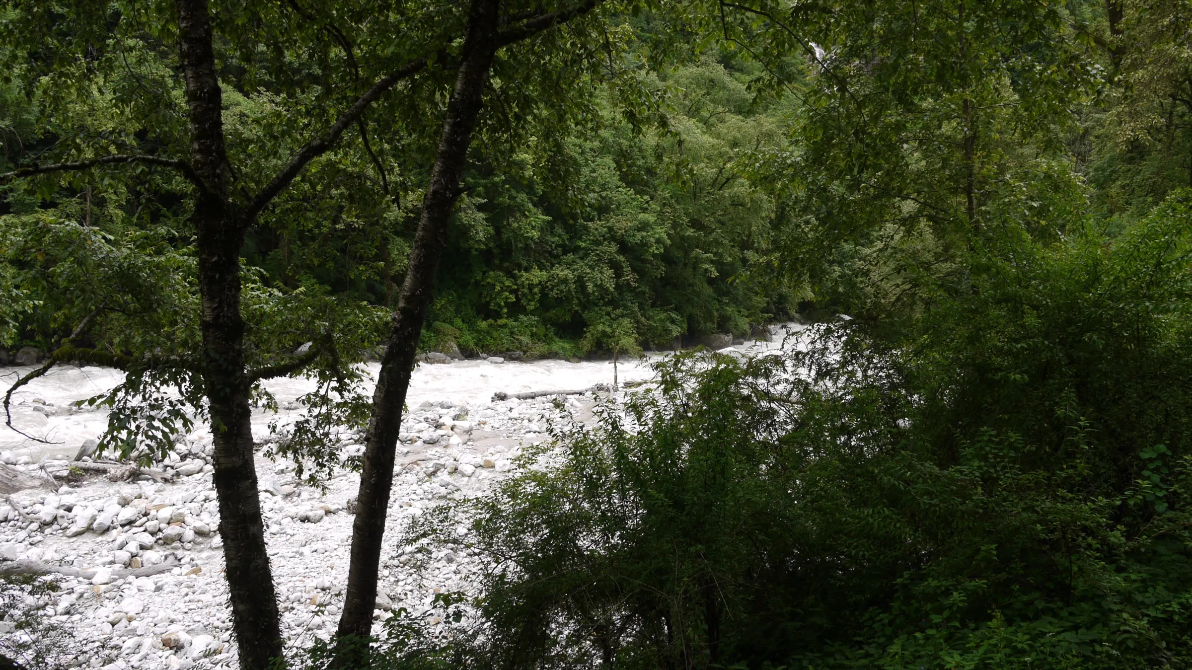 The boulder-filled Lakshman Ganga river seen through trees near Bhyundar village, on the first day of the trek from Govindghat