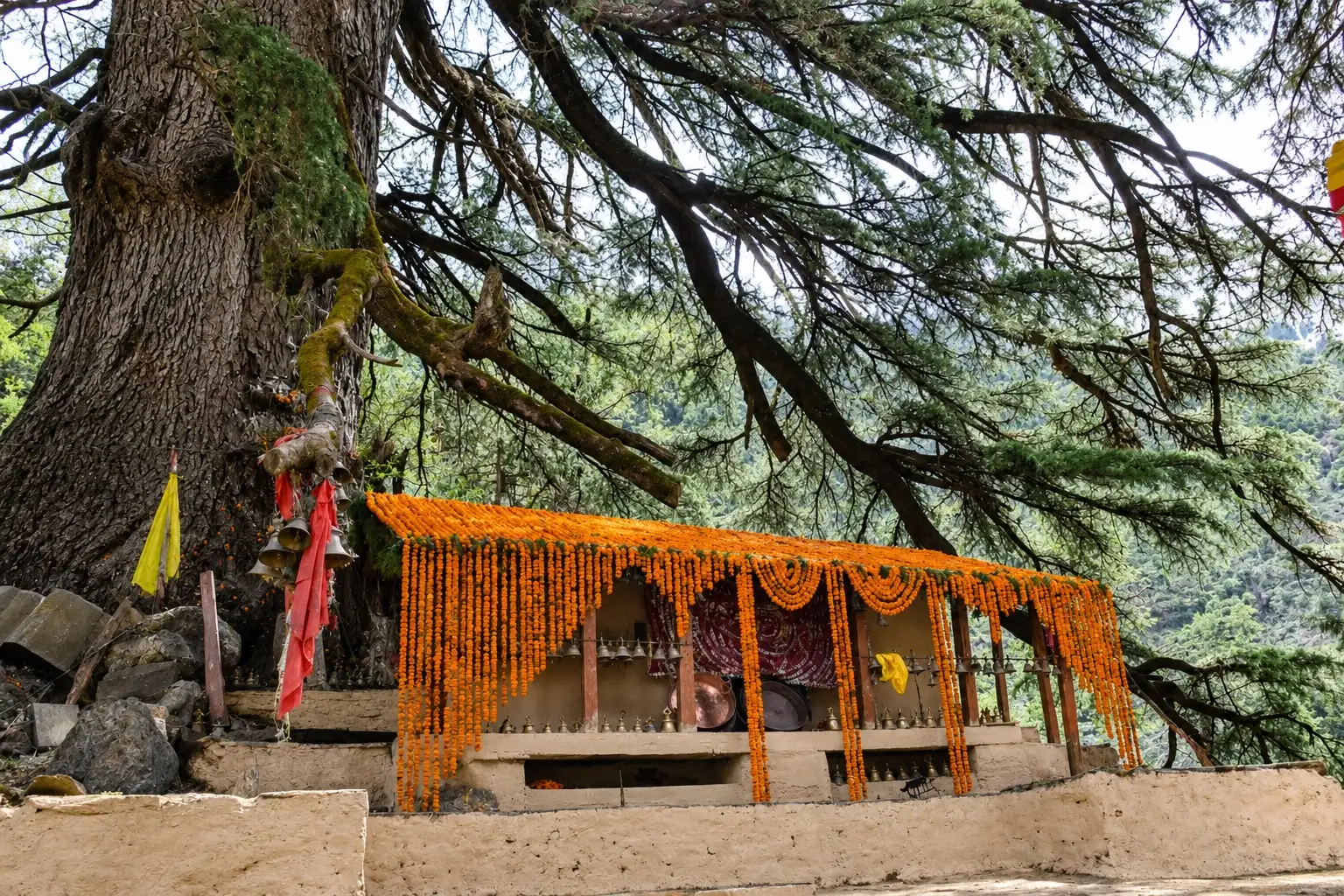 The Latu Devta shrine under a giant deodar at Wan, decorated with marigolds; the Kugina Pass walk starts and ends in Wan