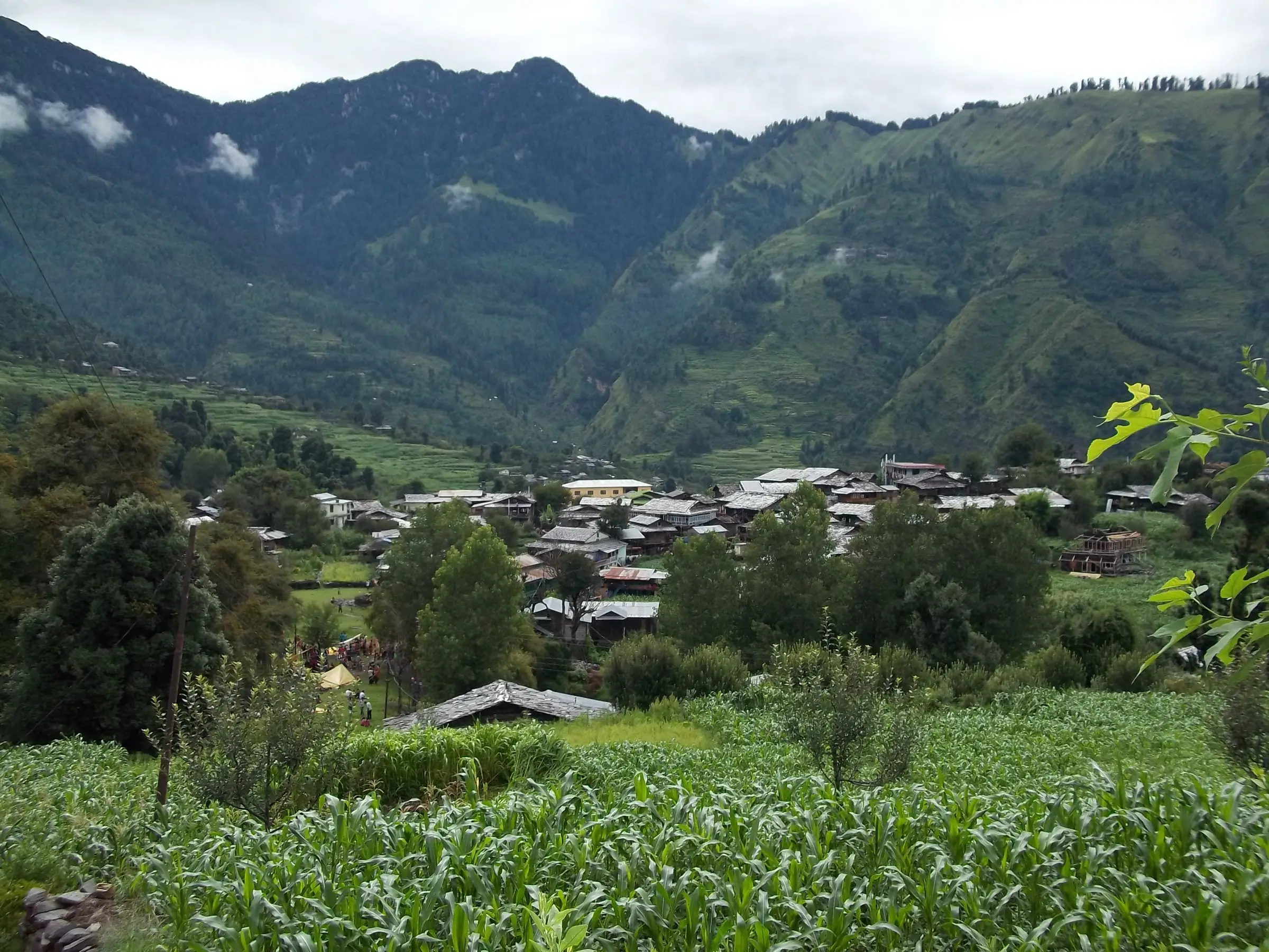 Village houses among maize fields under forested hills in the Lug Valley, Kullu, the valley where the Bhubhu Pass crossing ends (not the trail itself)