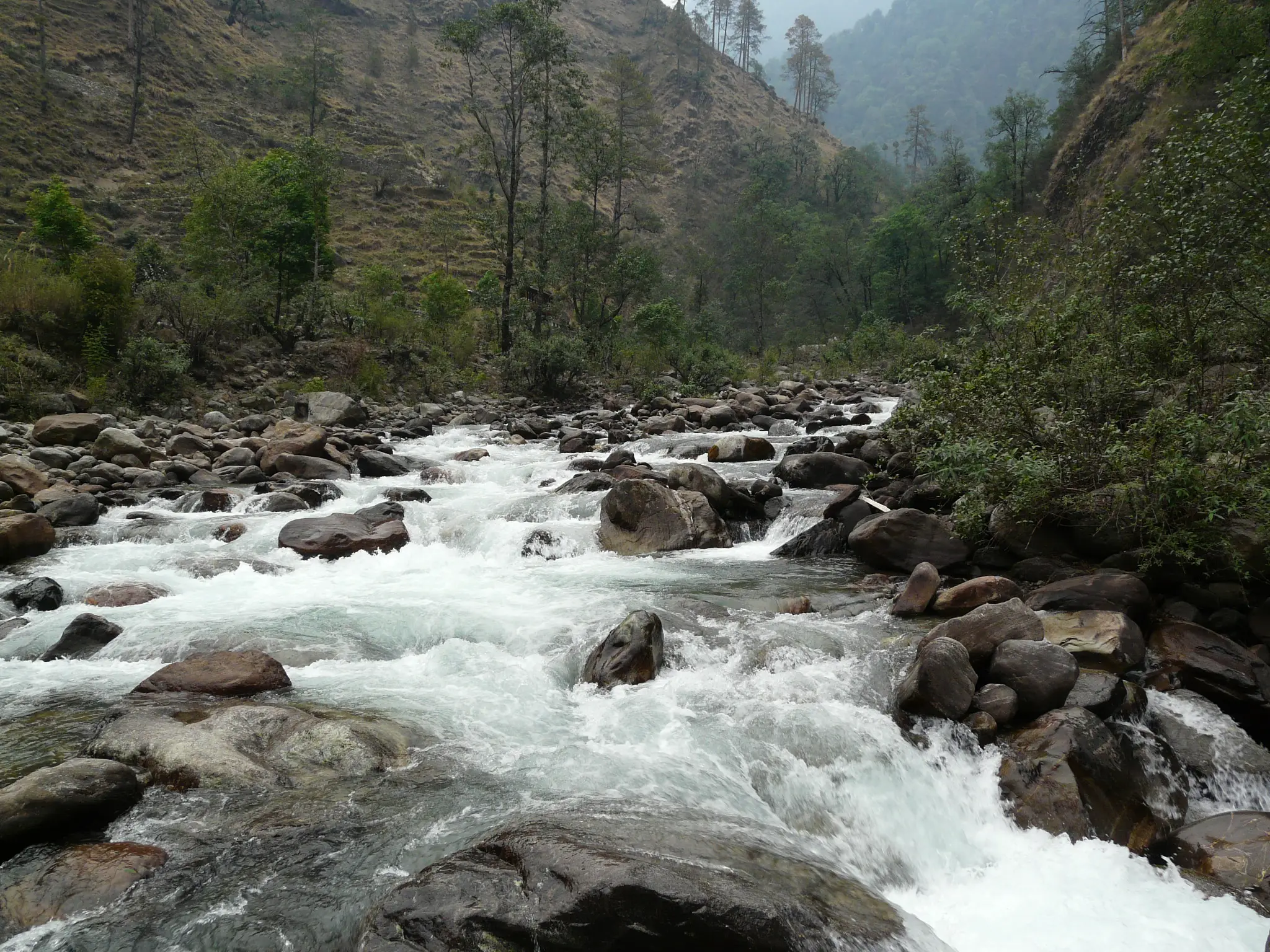 The Madhmaheshwar Ganga rushing over boulders between wooded hillsides on the trail down to Ransi