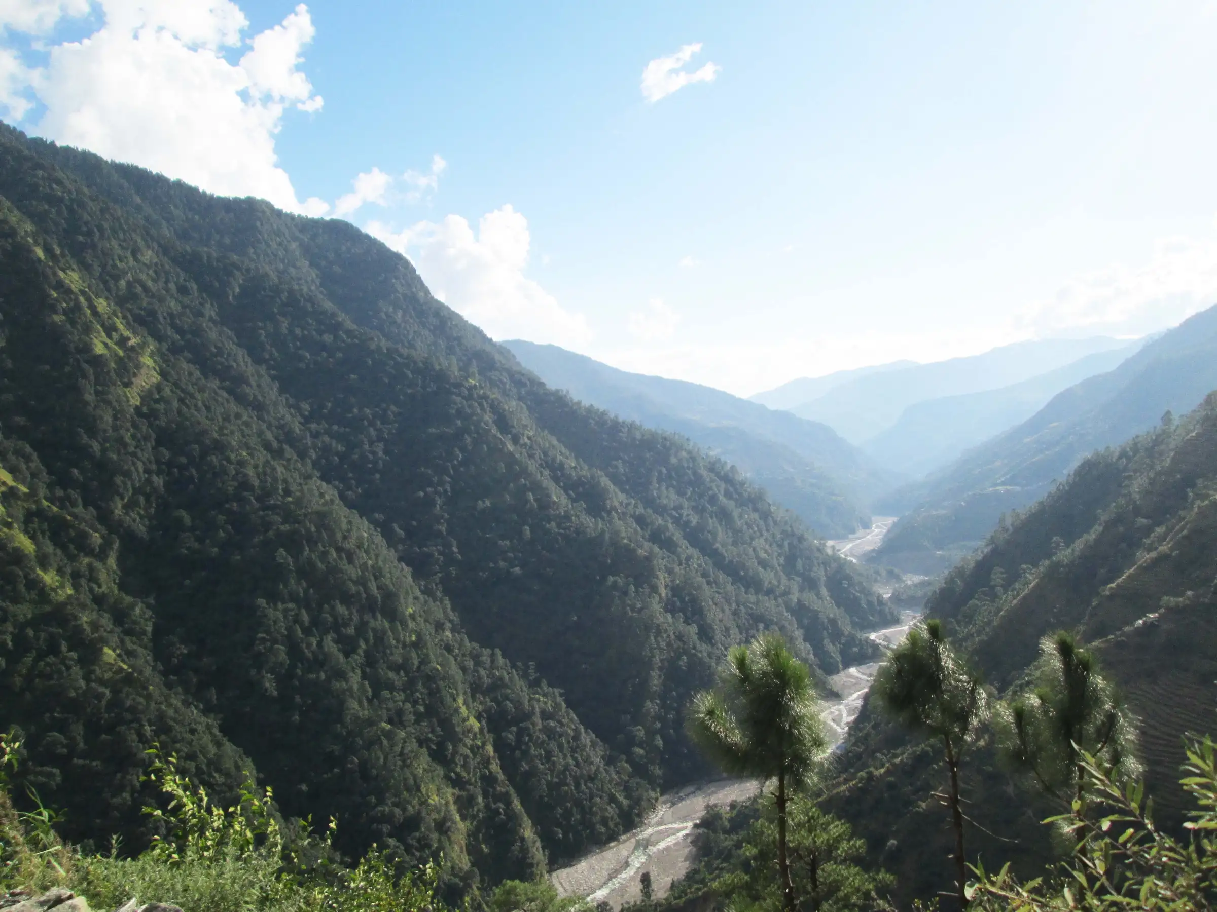 Forested slopes of the deep Madhyamaheshwar Ganga valley with the river winding below, the descent route to Ransi