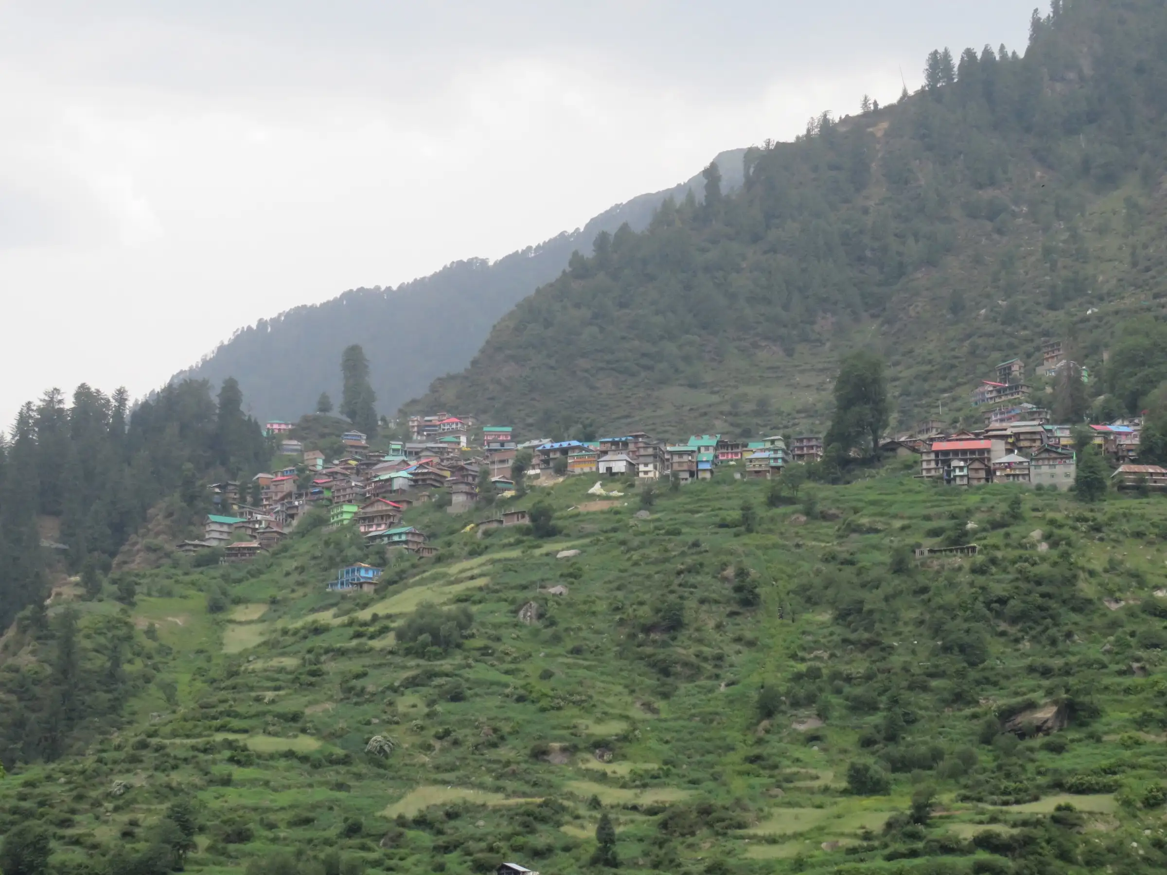 Malana village houses on a ridge above green terraced fields, with forested slopes behind