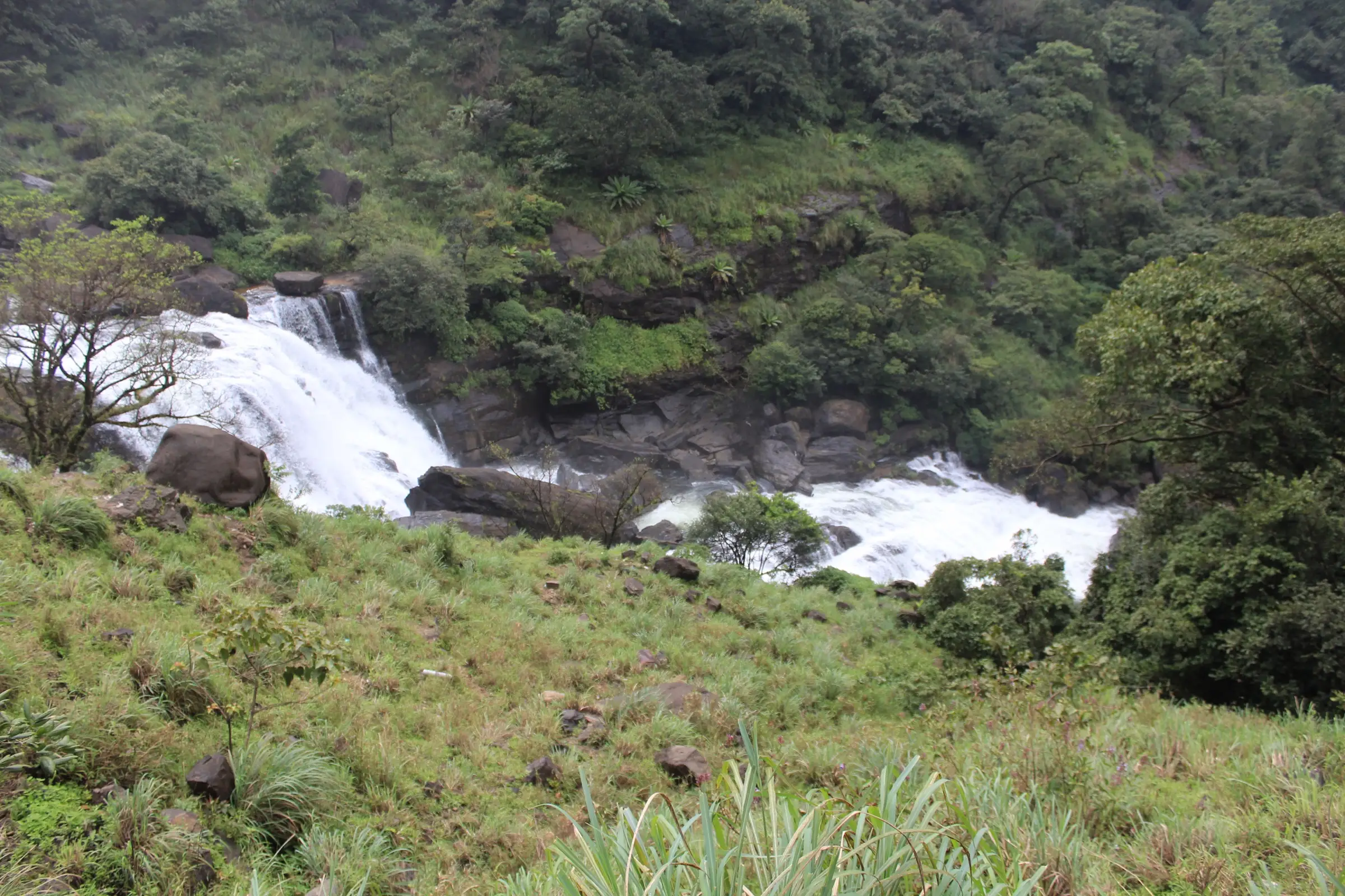 Mallalli Falls tumbling past grassy slopes near Kumaralli, the waterfall seen from the climb to Patla Betta (not the trek trail itself)
