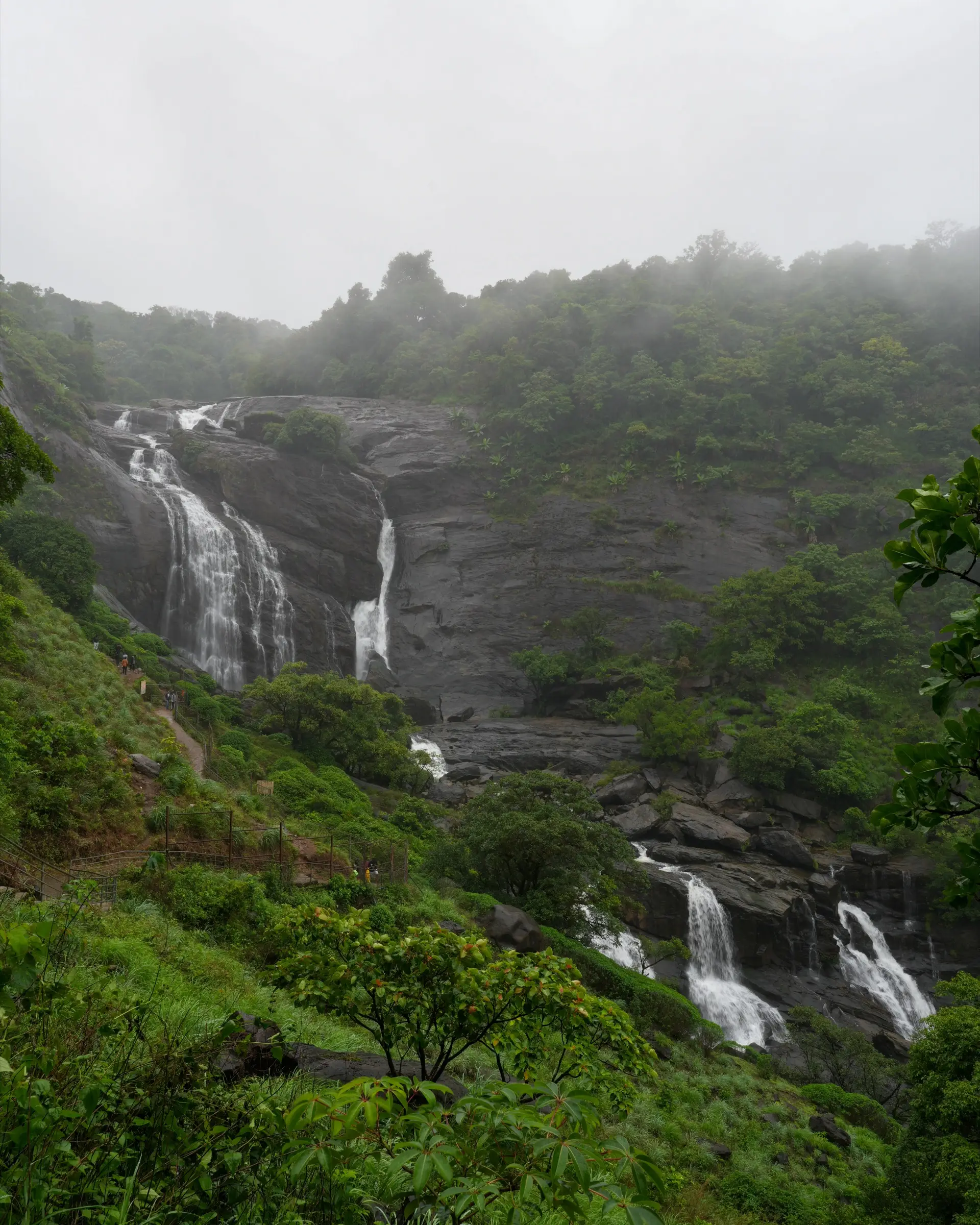Full view of Mallalli Falls dropping down a forested gorge, near the start of the Doddabetta trek