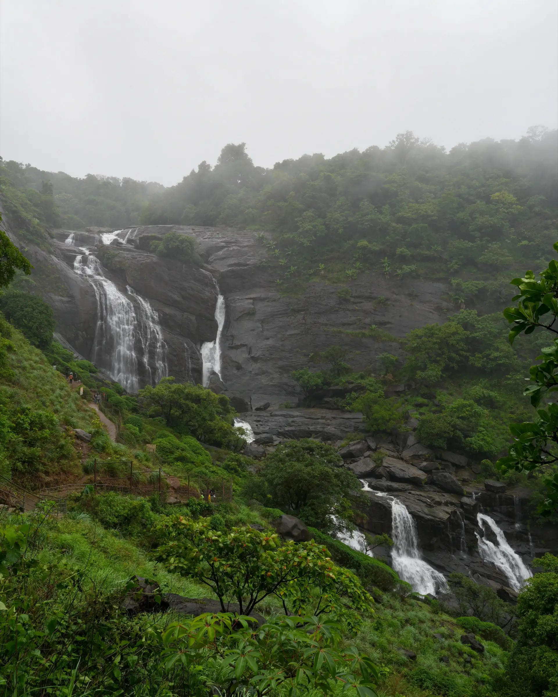 Full view of Mallalli Falls dropping down a forested gorge, near the start of the Doddabetta trek