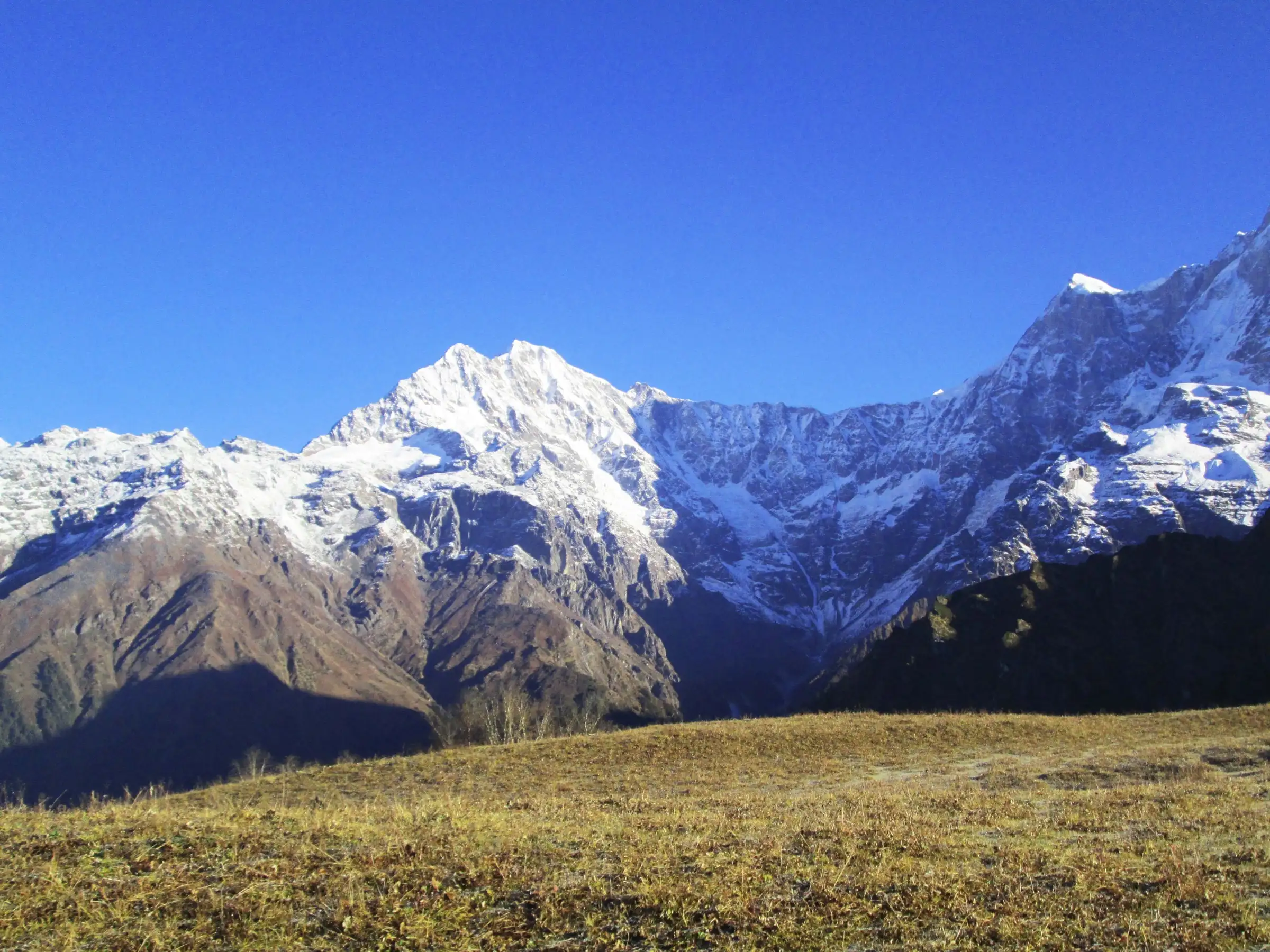 Snow-covered Mandani peak and Chaukhamba IV above a golden meadow, seen from Buda Madhyamaheshwar; the Mandani valley lies below these peaks