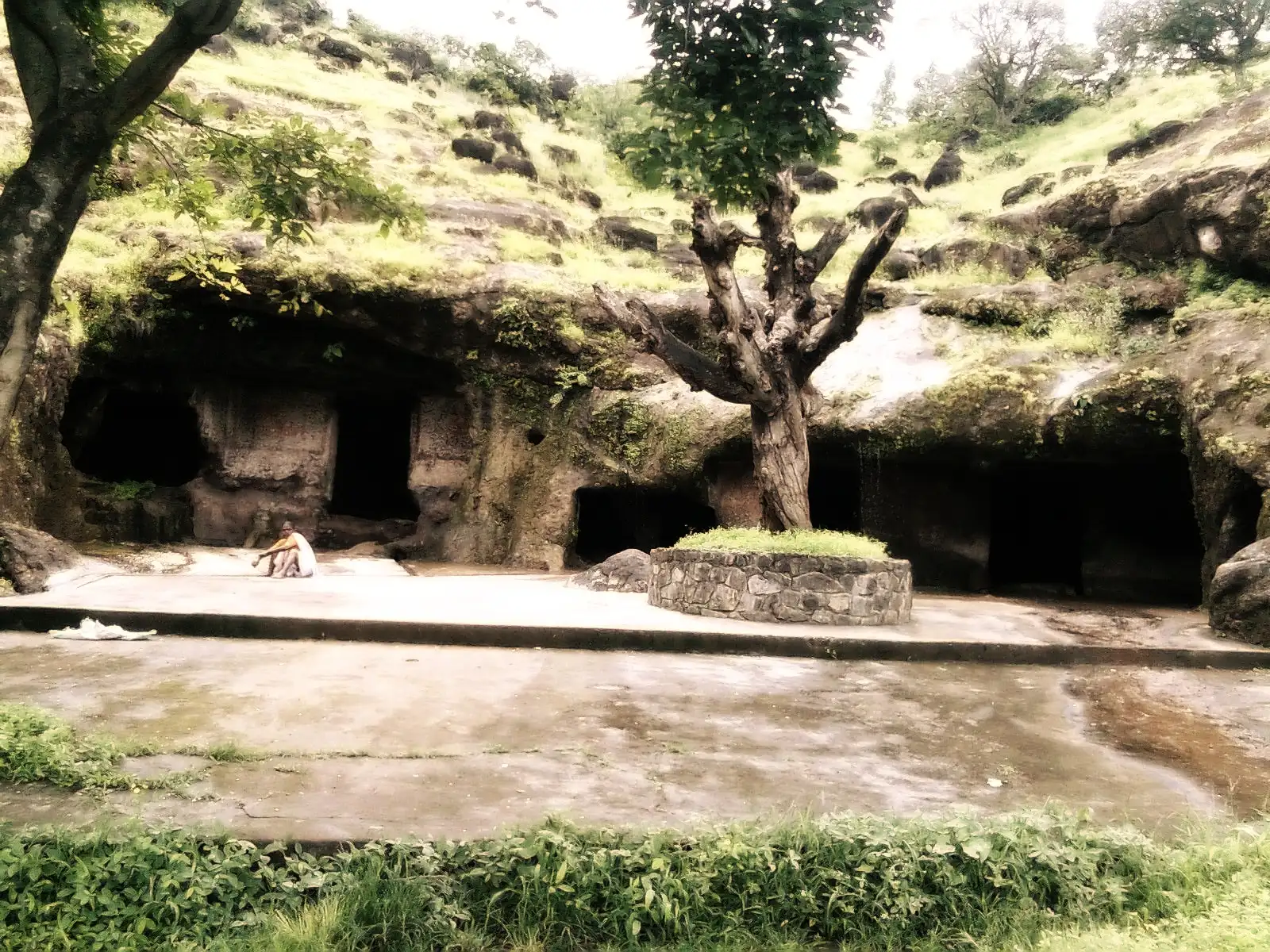 Rock-cut Pandav Leni caves under a grassy slope on Masai Pathar in the monsoon