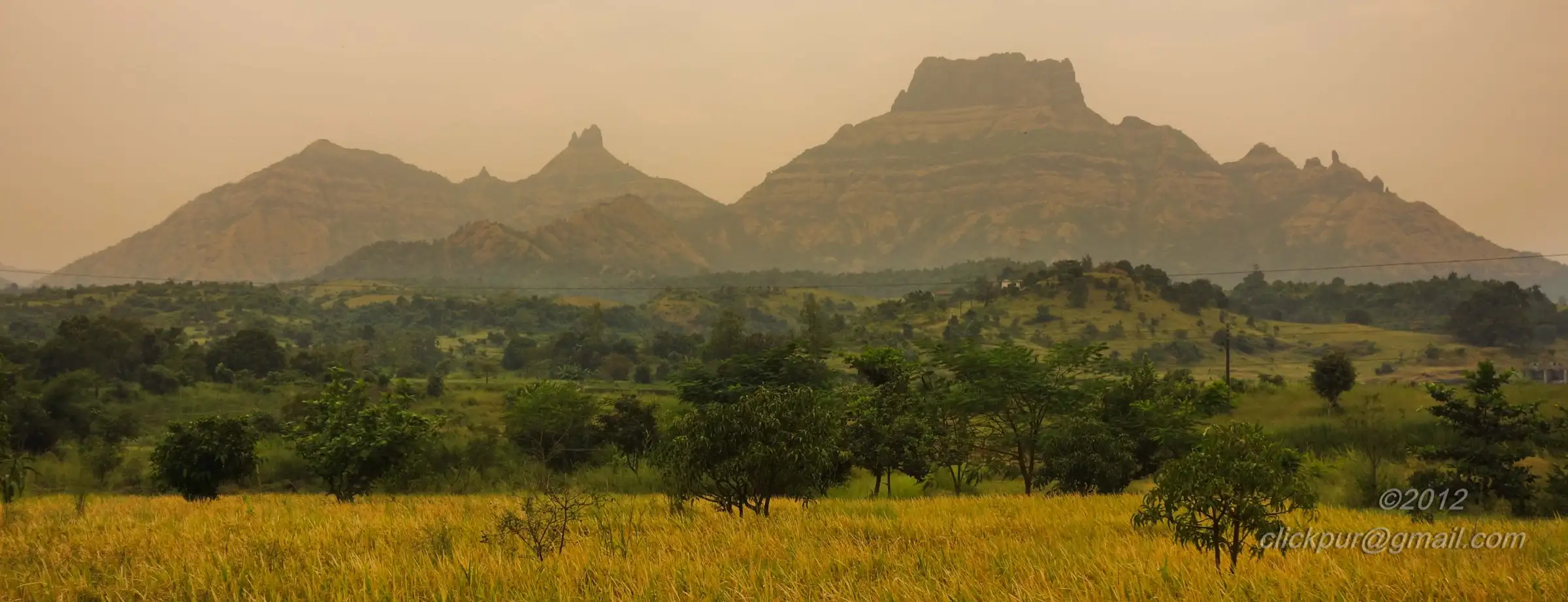 Wide hazy view of the Chanderi range and neighbouring pointed peaks above ripening paddy fields and trees