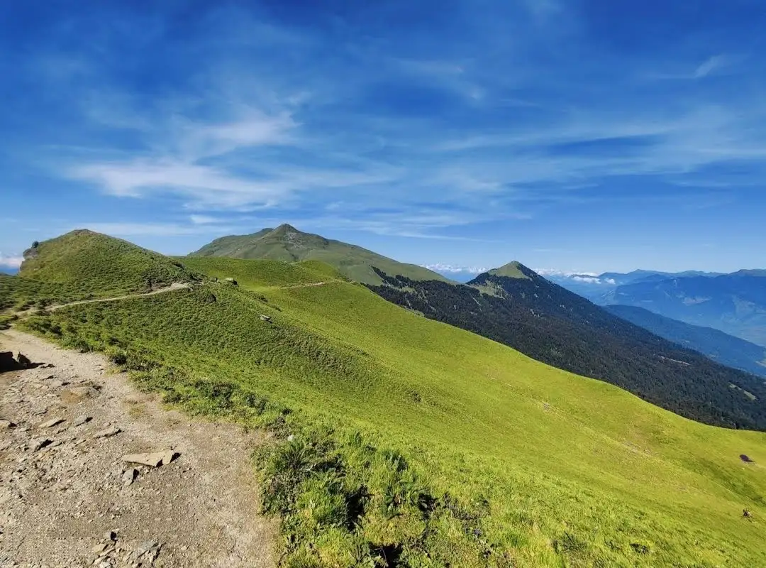 Green grassy ridges of Kush Kalyan Bugyal with a stony trail in the foreground and forested hills below a blue sky