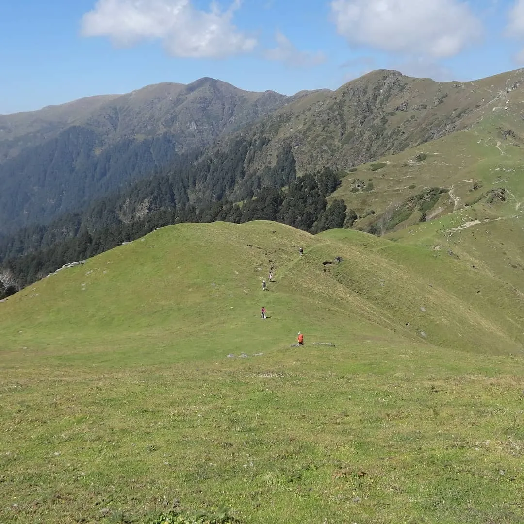 Trekkers walking down a broad green grassy ridge on Chainsheel Bugyal, with forested and rocky mountain slopes behind under a blue sky