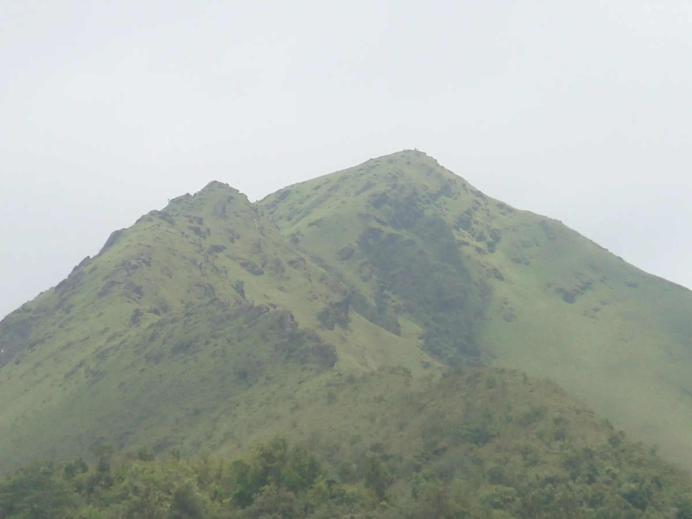 Close view of the green, rocky top of Merthi Gudda above Basarikatte in monsoon mist