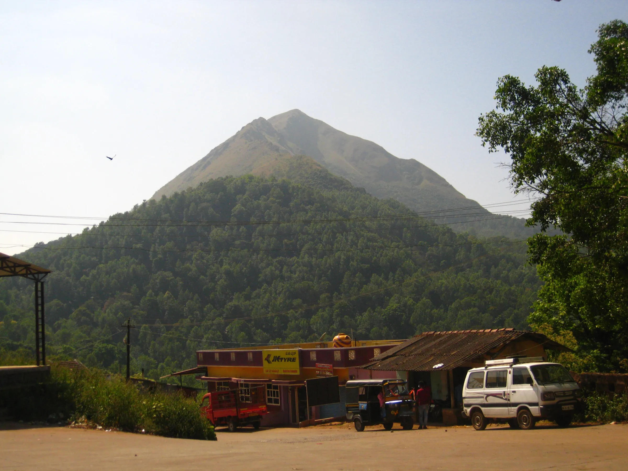 Meruthi (Merthi) Gudda, the neighbouring peak on the same ridge, rising above forest at Basarikatte near the Aane Gudda trek (not the Aane Gudda trail itself)