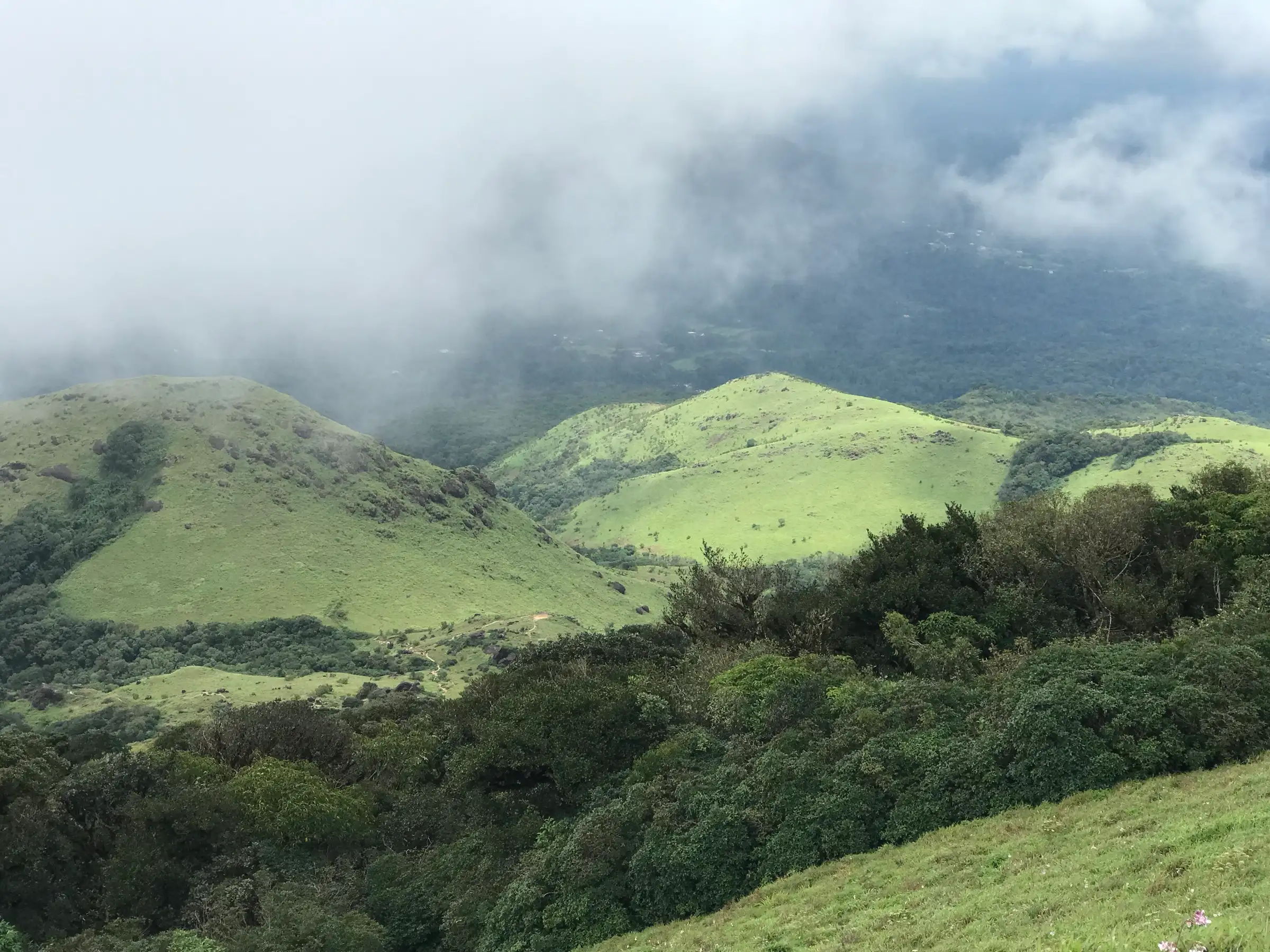 Cloud drifting over green hills seen from the top of Tadiyandamol