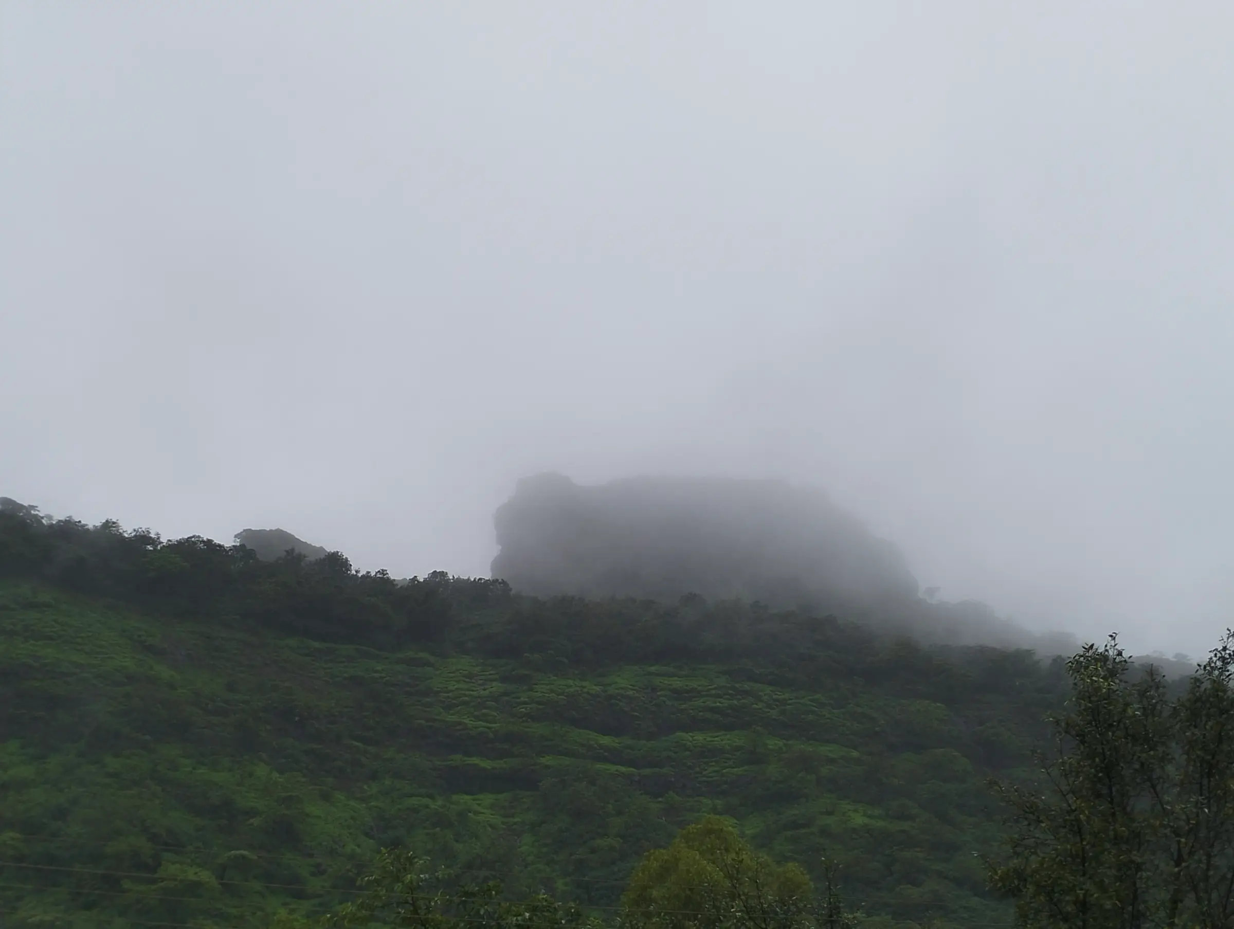 Tikona Fort's rock top hidden in monsoon mist above green slopes