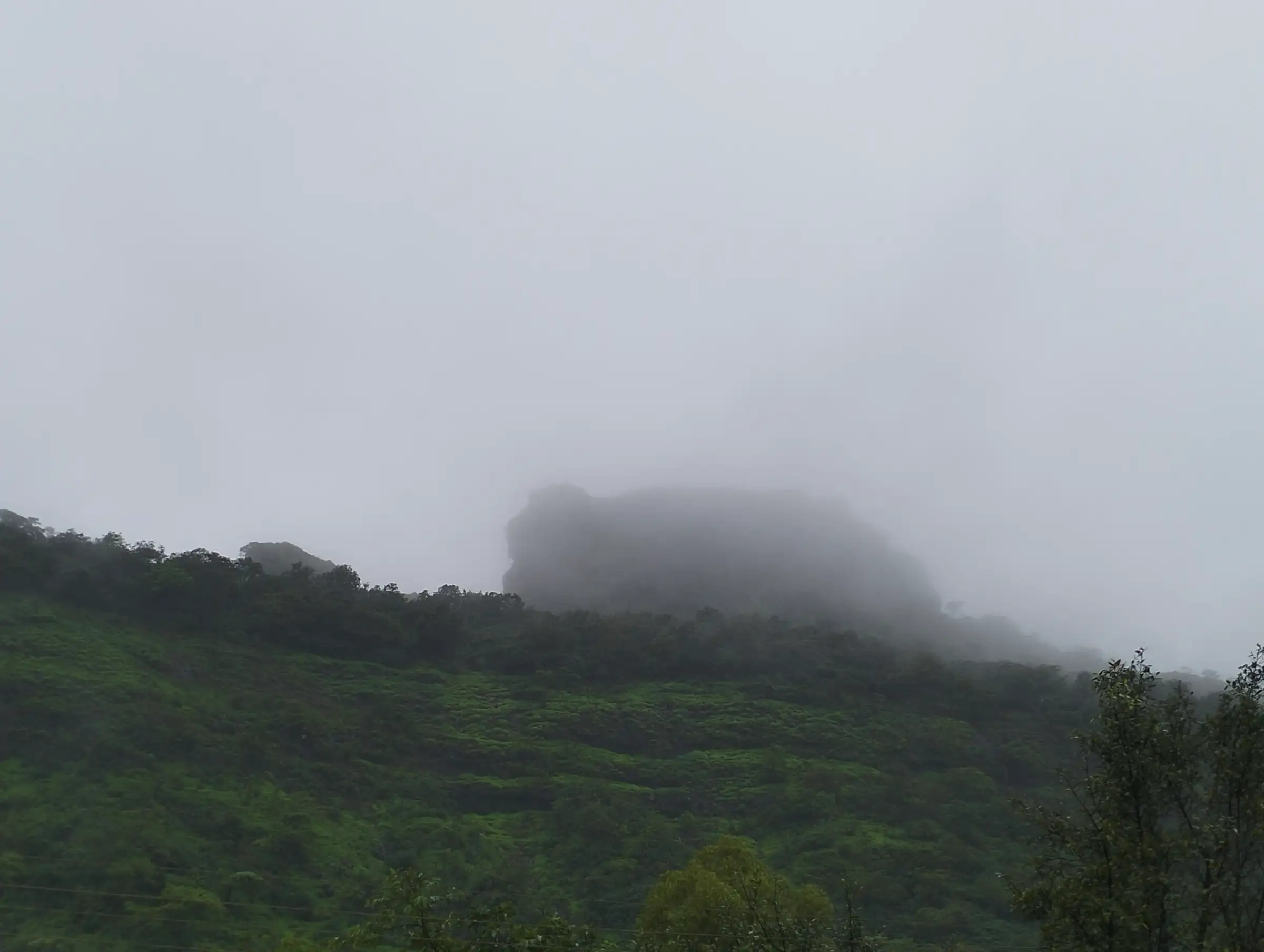 Tikona Fort's rock top hidden in monsoon mist above green slopes