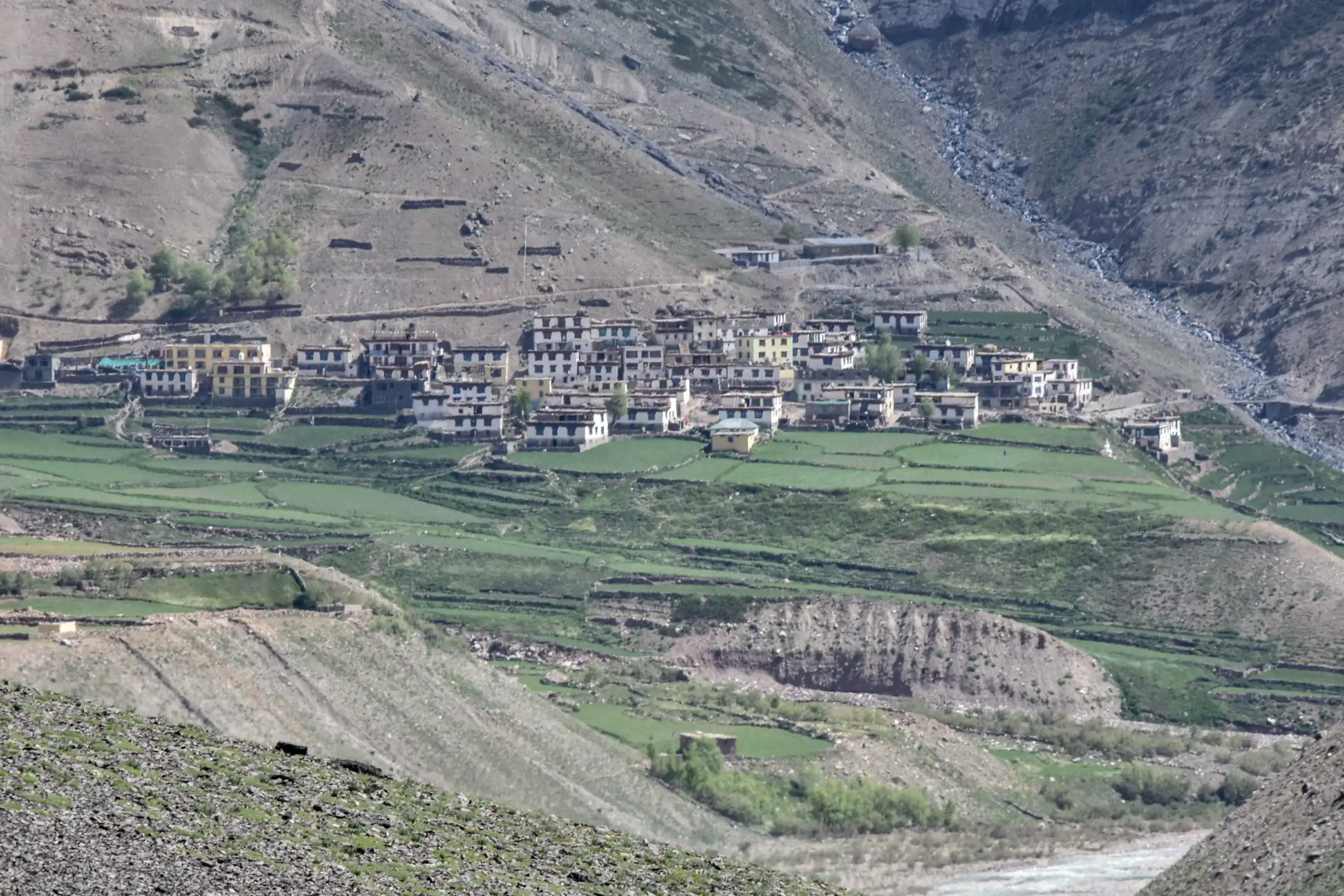 Terraced green fields and white houses of Mudh village above the Pin River in the Pin valley, Spiti, close to Tiling where the Larsa We trek ends (not the trek itself)