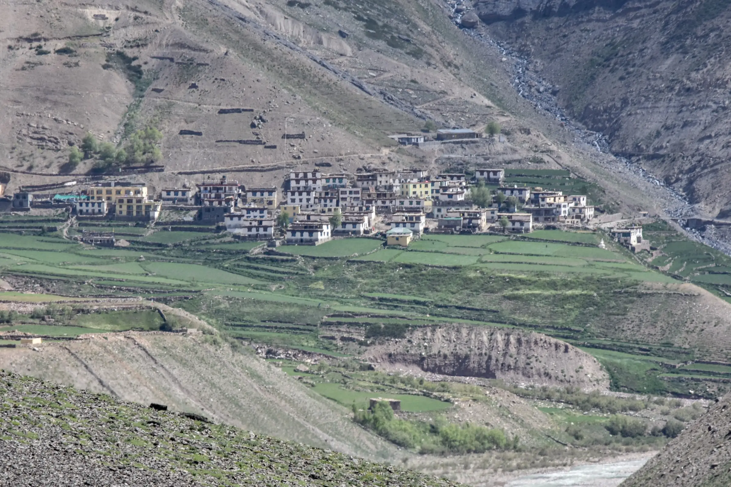 Terraced green fields and white houses of Mudh village above the Pin River in the Pin valley, Spiti, close to Tiling where the Larsa We trek ends (not the trek itself)