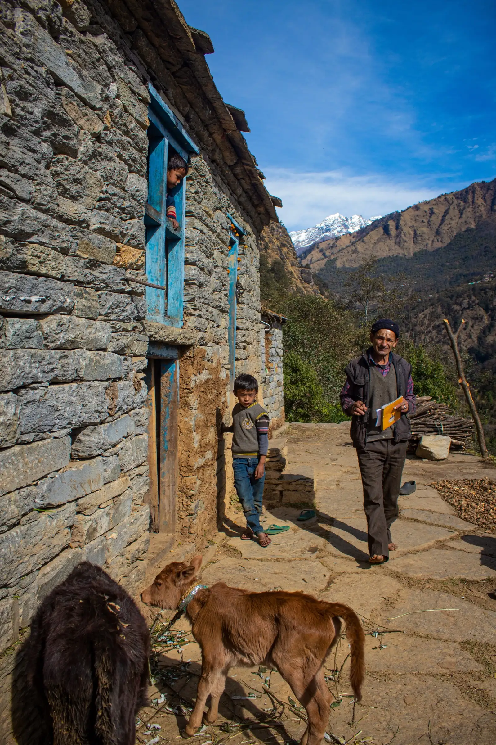 Villagers of Namik with calves in front of a traditional stone house, snow peak and hills behind