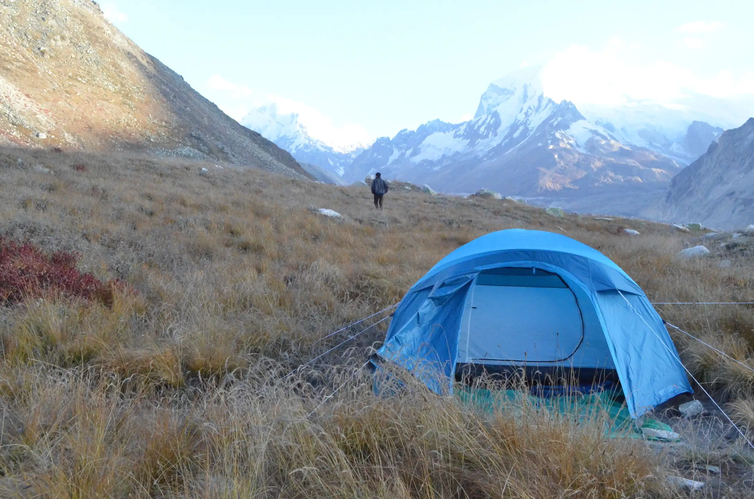 A blue tent pitched in golden grass at the Nandanvan campsite, a trekker walking towards snow-covered peaks above the glacier