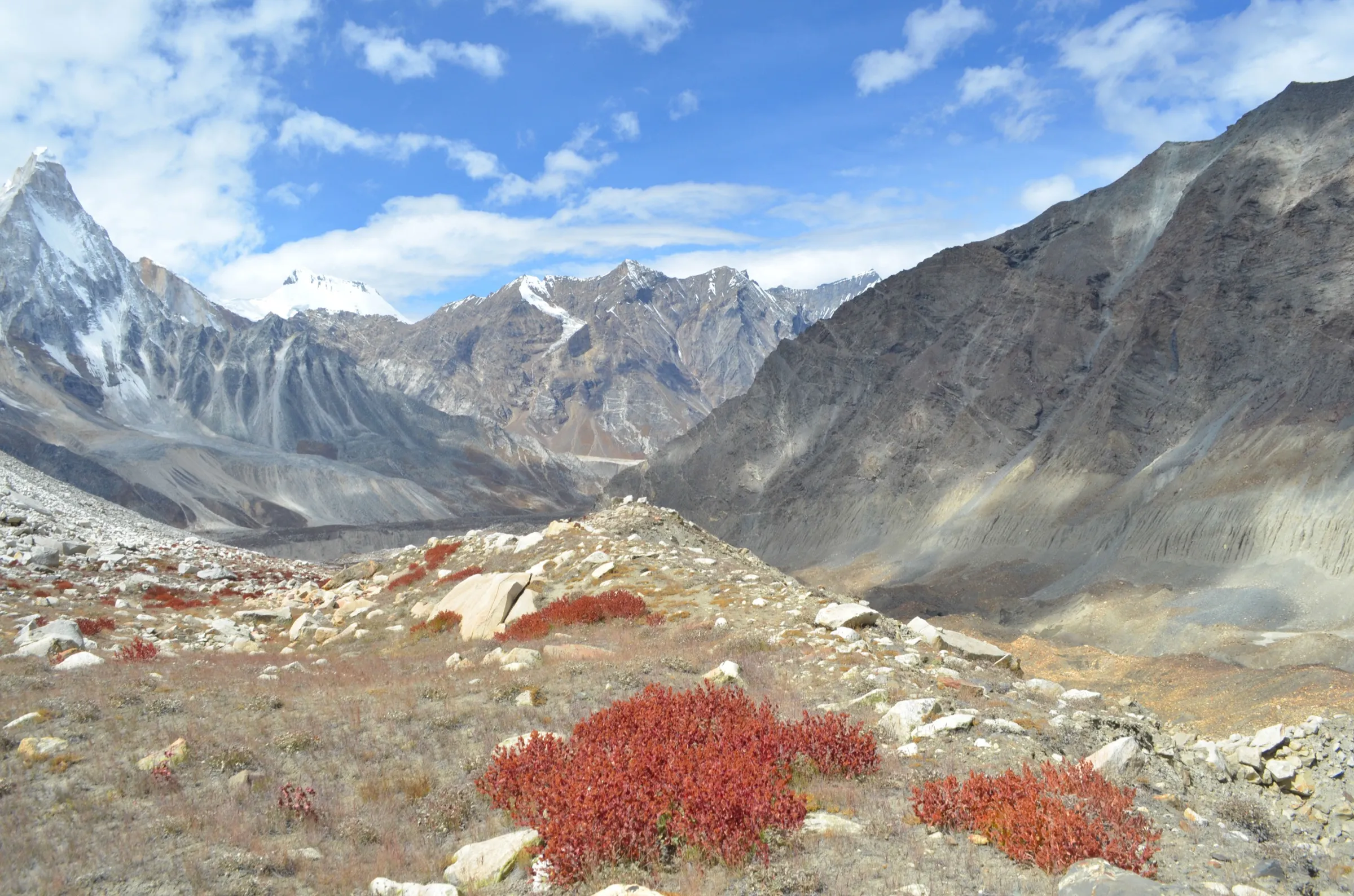 Red autumn shrubs on the stony Nandanvan meadow, with the sharp snow peak of Shivling on the left and the moraine-covered Gangotri Glacier valley below