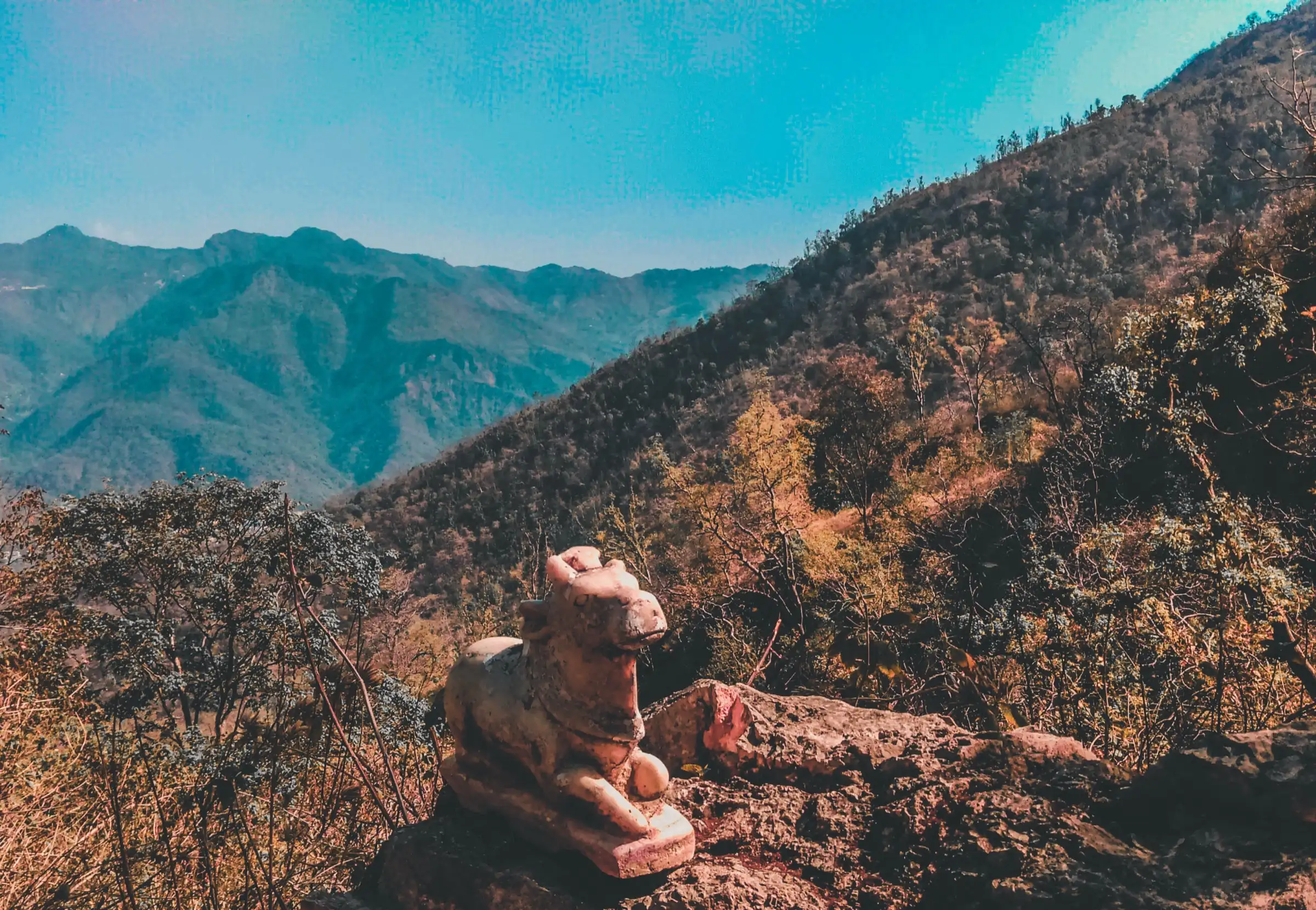 A small stone Nandi on a rock beside the trail to Neelkanth Temple, with forested hills and a blue sky behind