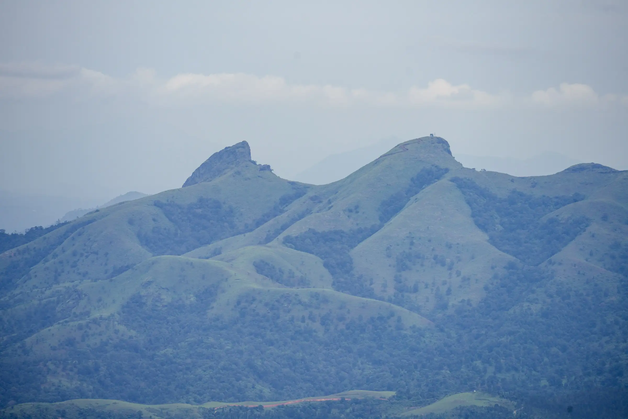 Needle Rock (left) and Morapu Malai (right), the grassy peaks about 10 km west of Gudalur where the Rockwood trail climbs, seen from NH 181