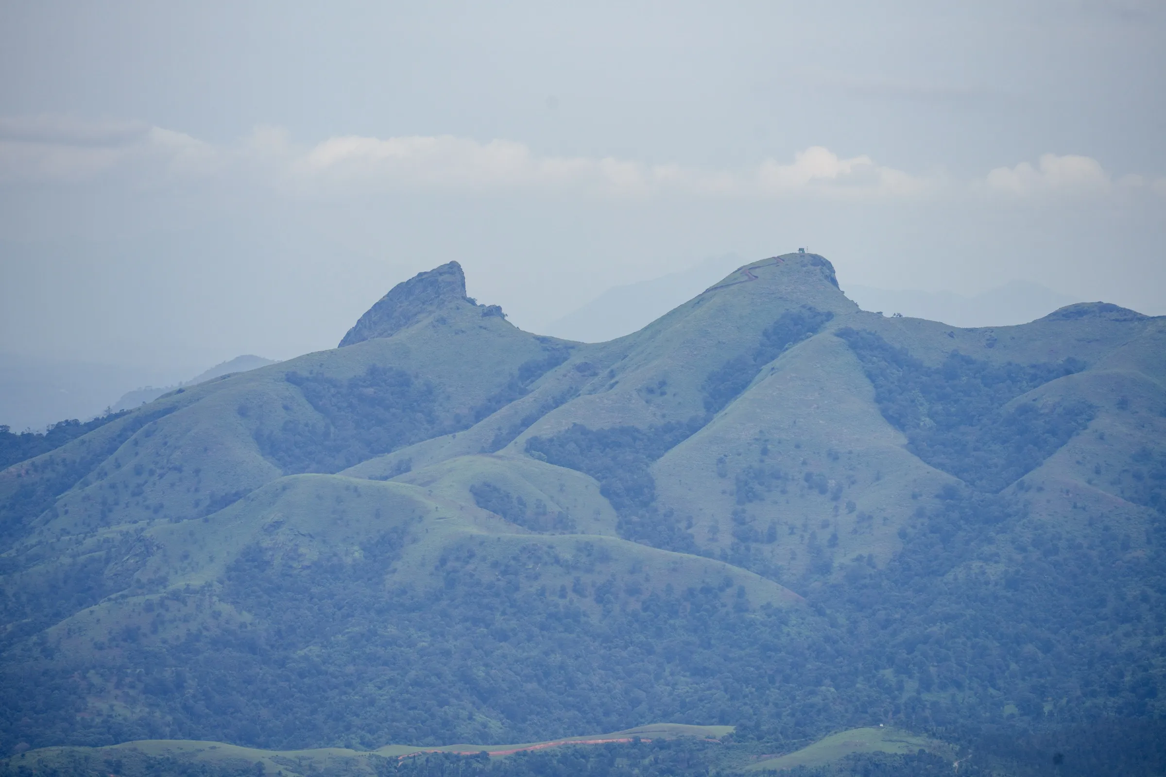 Needle Rock (left) and Morapu Malai (right), the grassy peaks about 10 km west of Gudalur where the Rockwood trail climbs, seen from NH 181