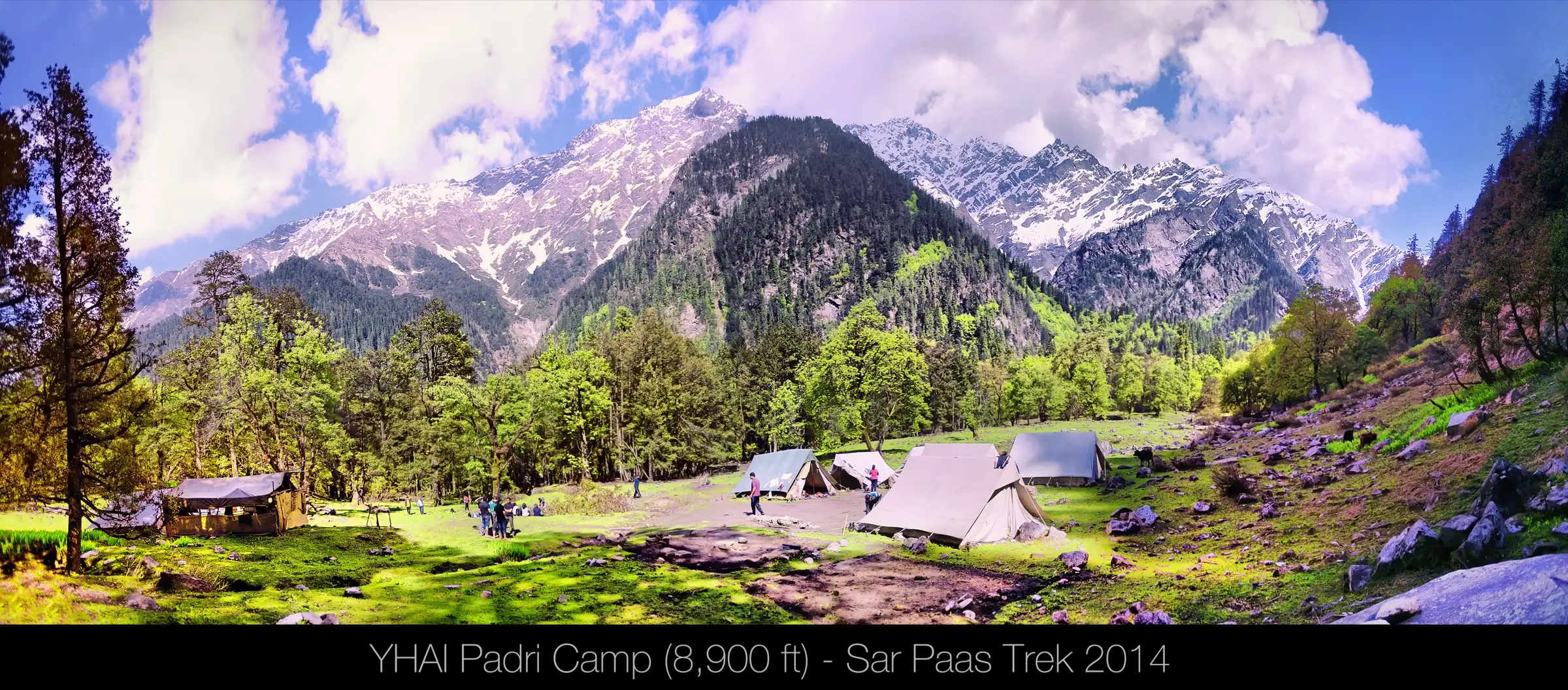 Tents in the grassy Padri meadow camp ringed by forest and snowy peaks, the base for the Khauli Pass climb