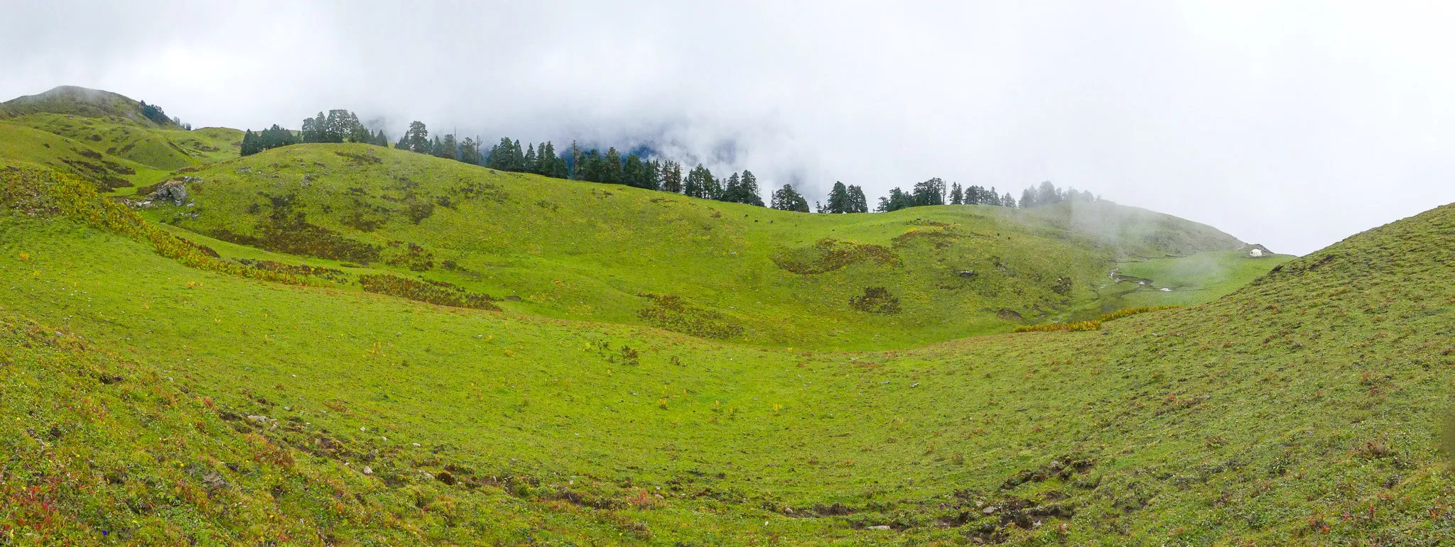 Panorama of rolling green Dayara Bugyal meadow with a line of conifers on the ridge under low cloud