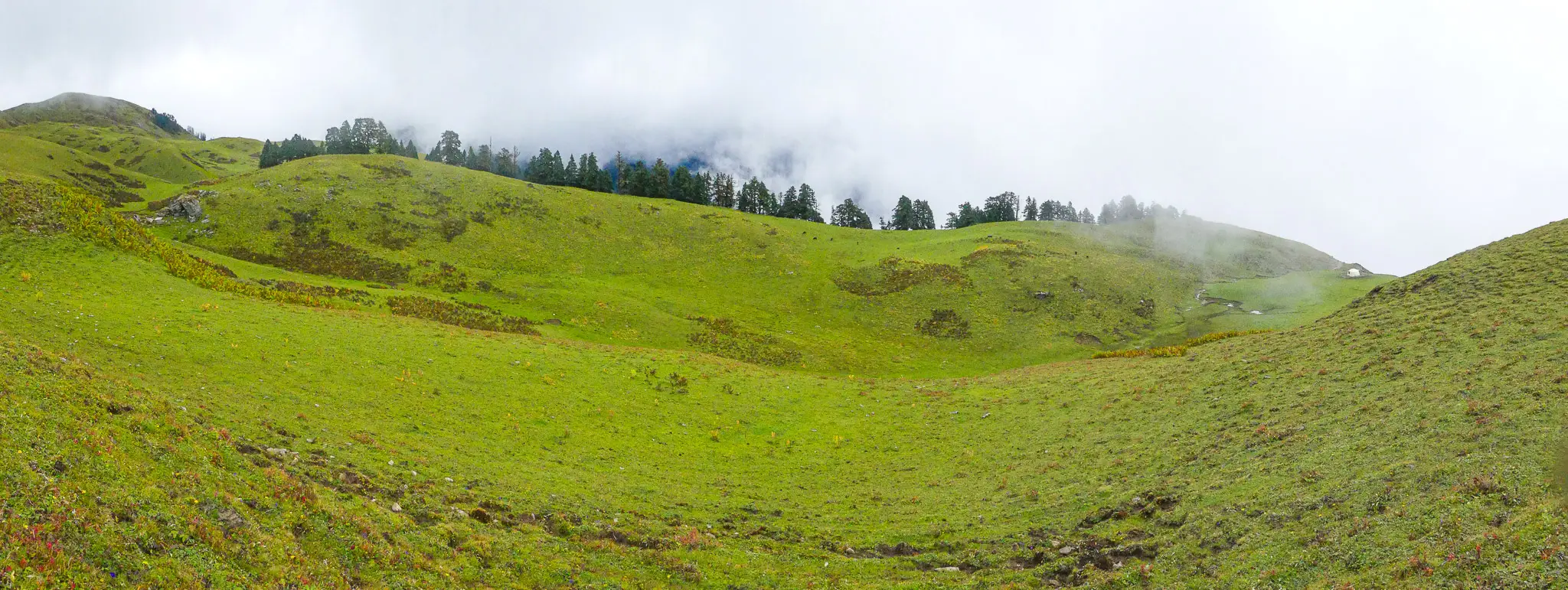 Panorama of rolling green Dayara Bugyal meadow with a line of conifers on the ridge under low cloud