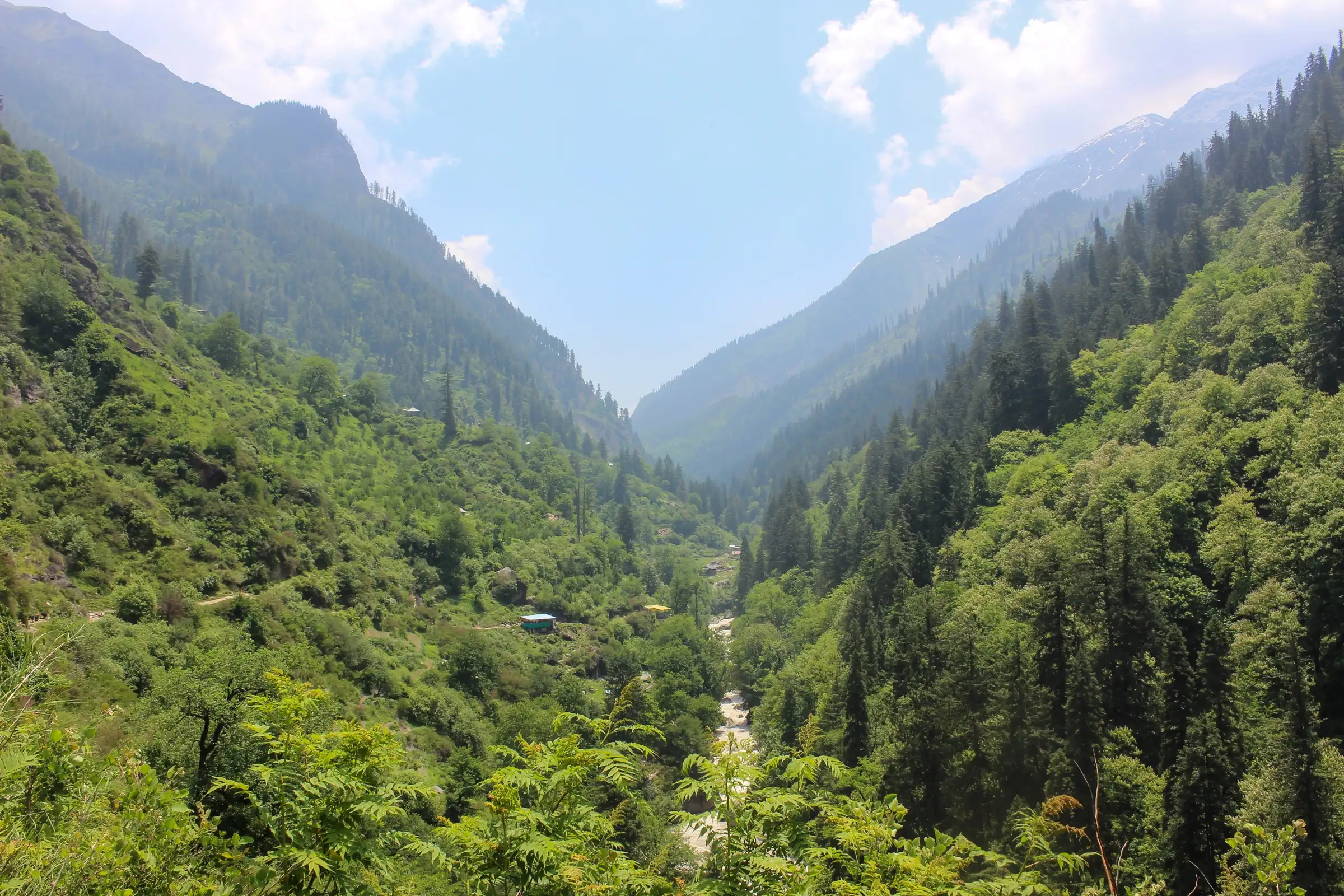 Forested Parvati valley near Pulga, where the trek ends, with a stream in the gorge and snow on the far ridge