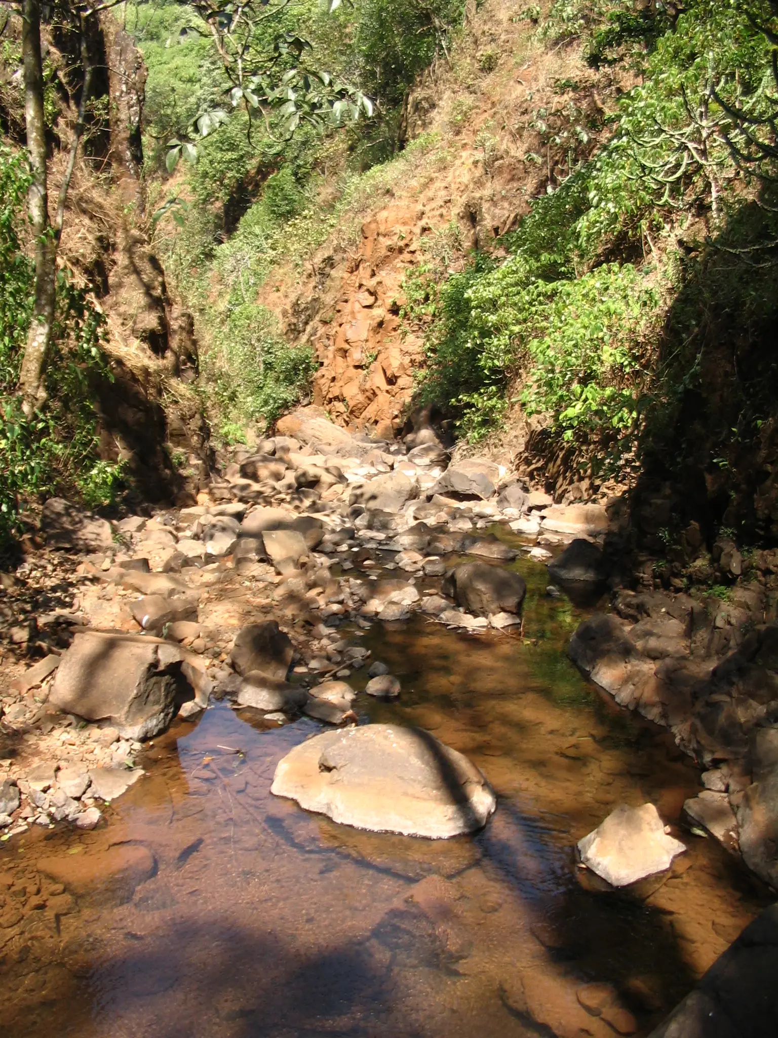 Boulder-strewn stream bed running down the narrow wooded gorge of Pawankhind