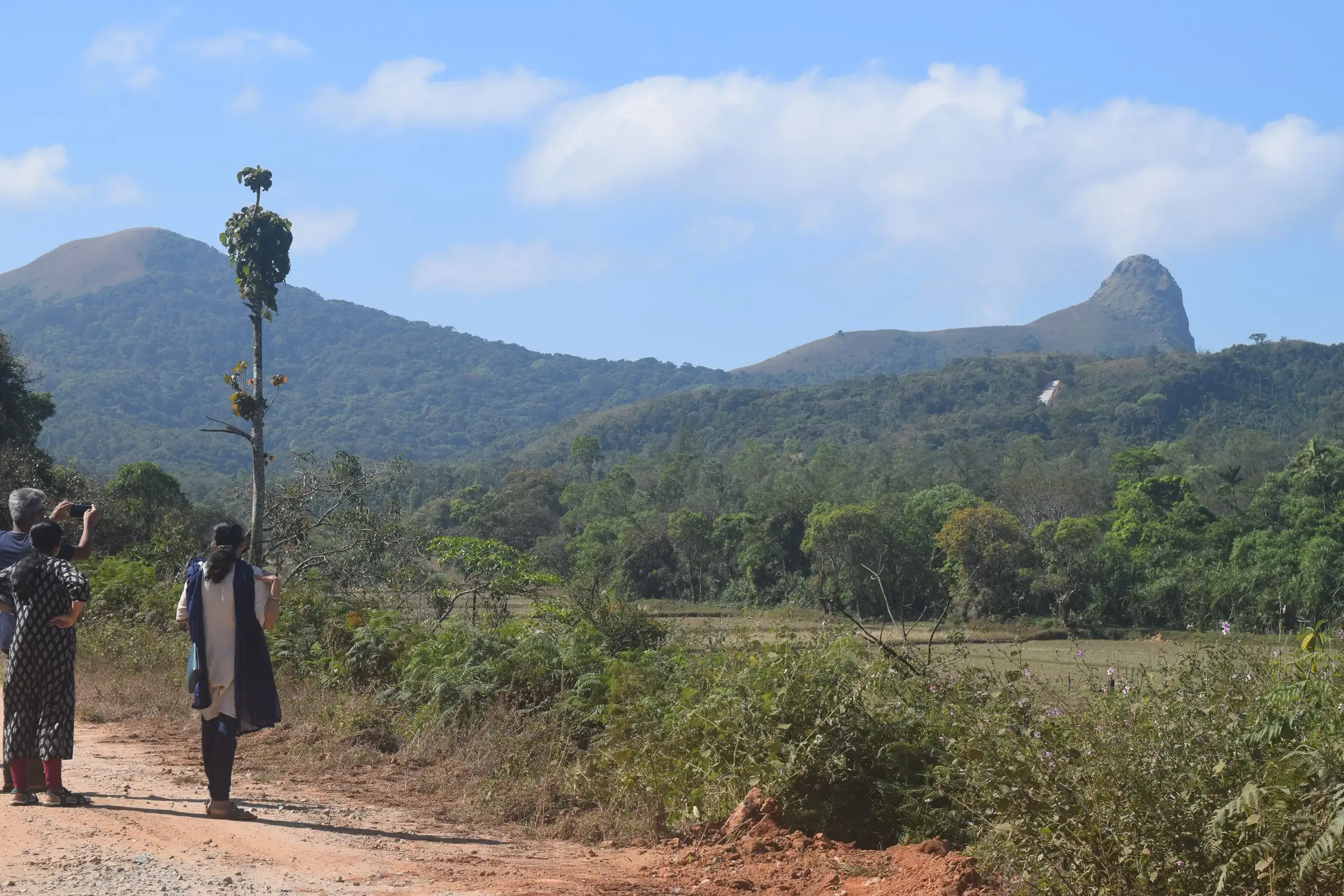 Ettina Bhuja's pointed peak seen from far across forest and fields near the start of the trek