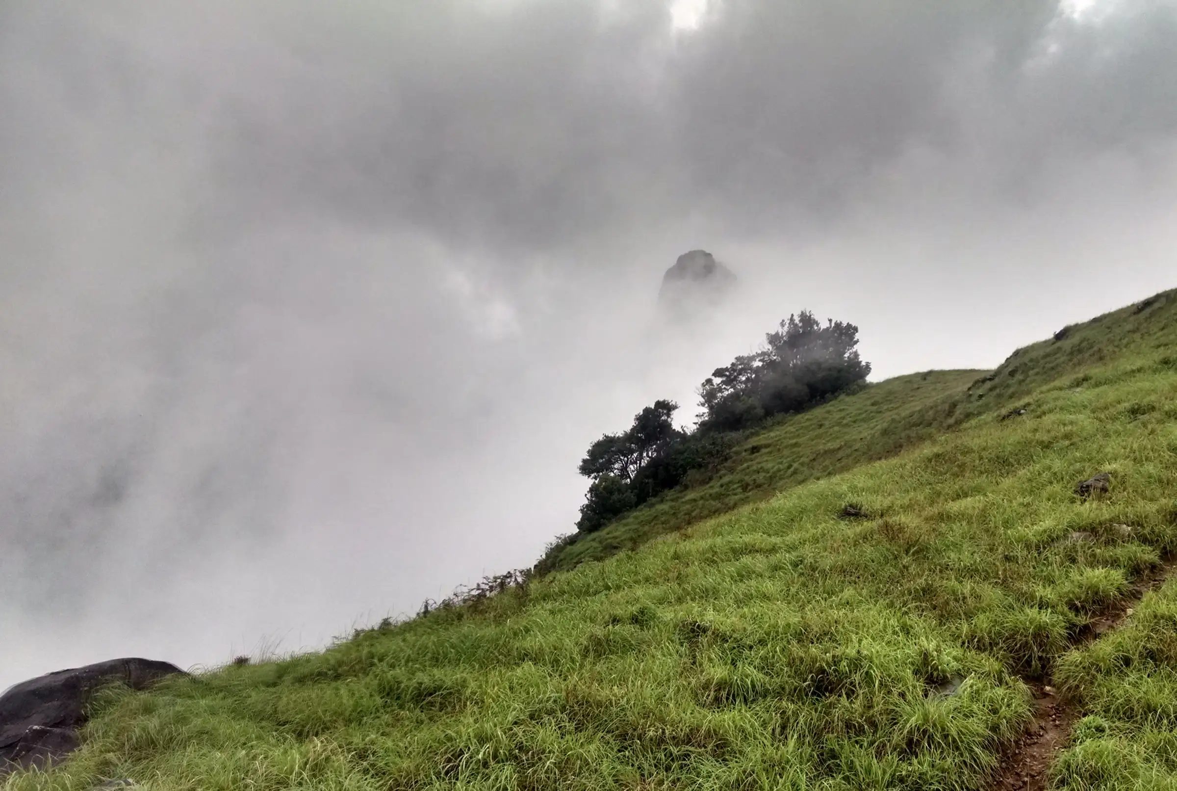Rocky Kurinjal summit half-hidden in mist above a grassy slope and a narrow trail