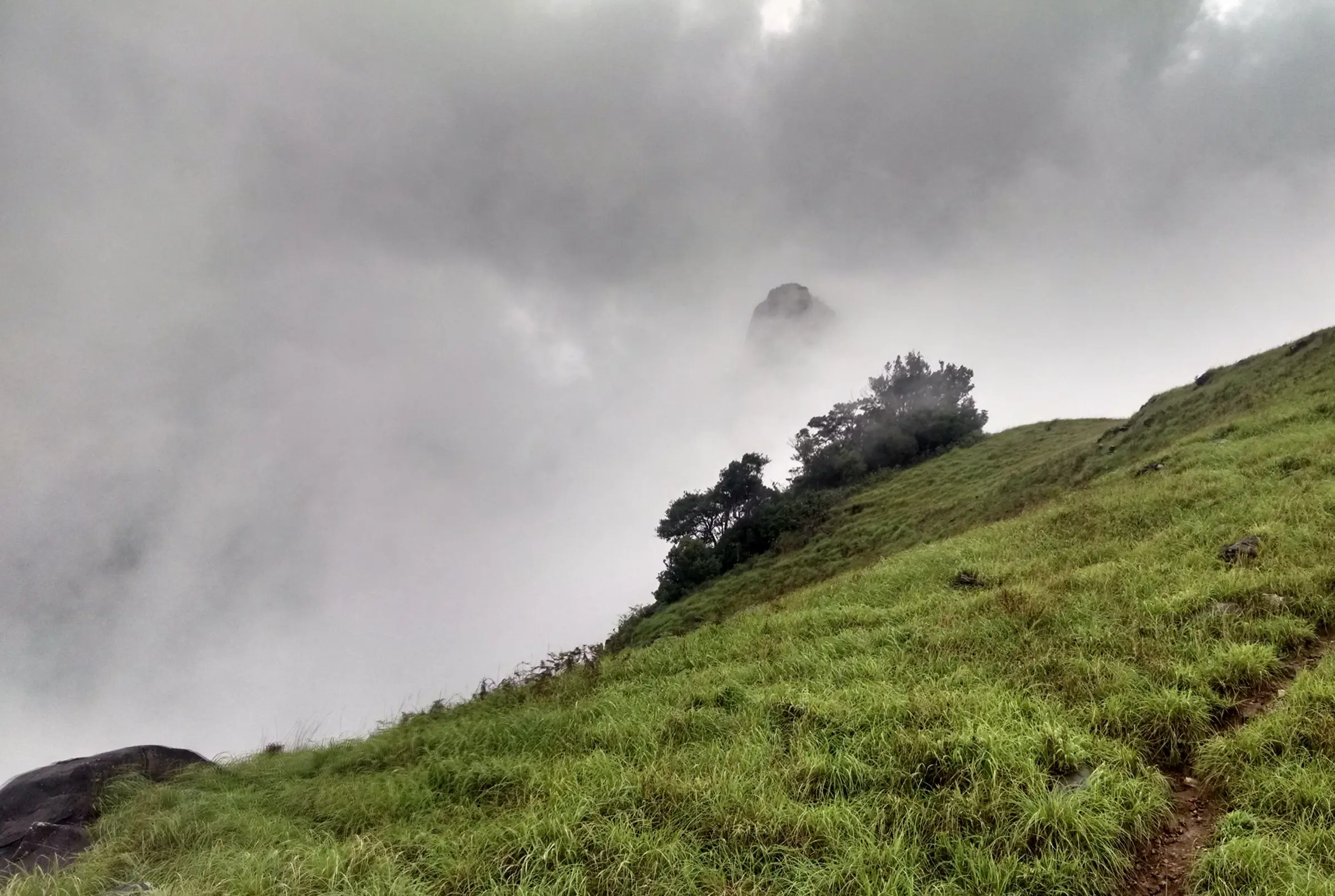 Rocky Kurinjal summit half-hidden in mist above a grassy slope and a narrow trail