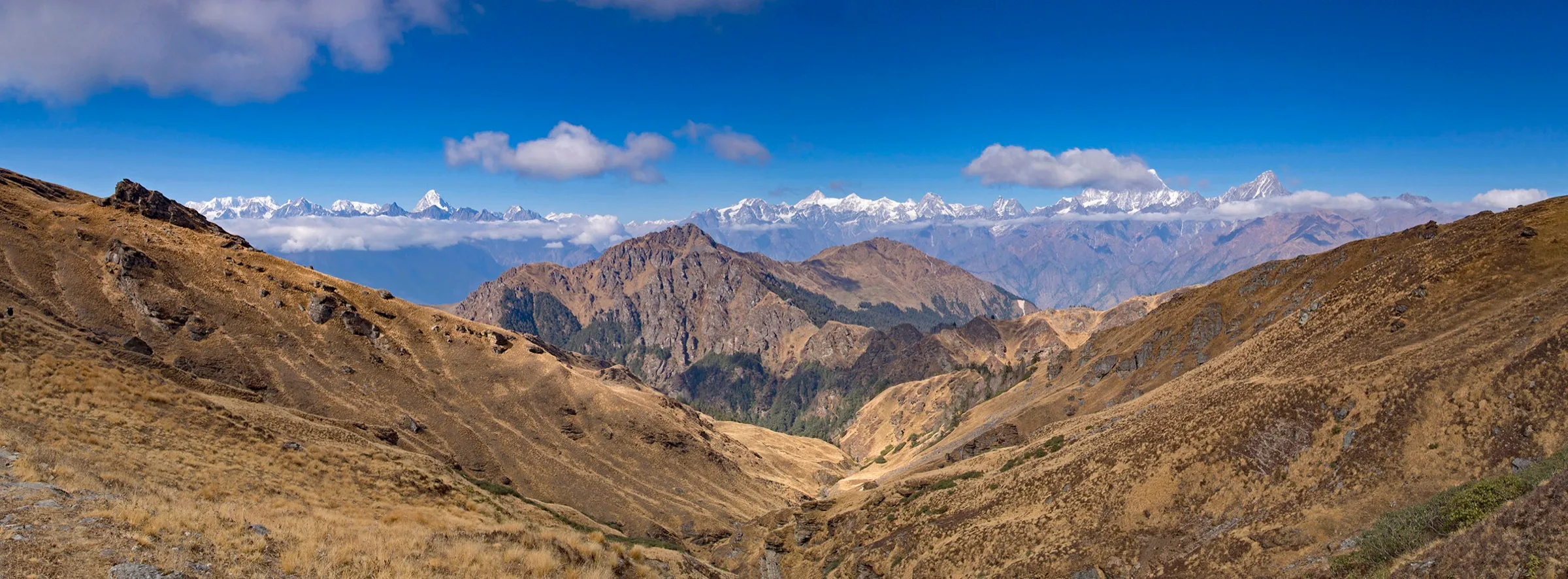 Panorama of snow peaks Chaukhamba, Neelkanth, Kamet, Mana, Gori Parbat and Hathi Parbat seen across the Kuari Pass ridge