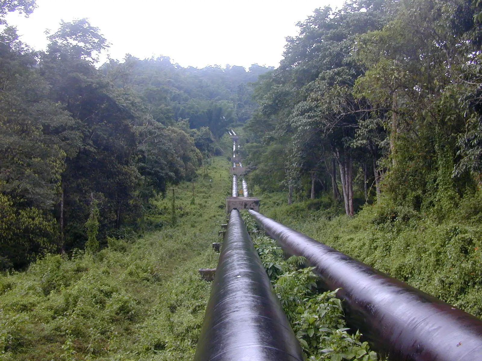 Twin water pipelines running downhill through rainforest from Sholayar reservoir to the Manamboli power house