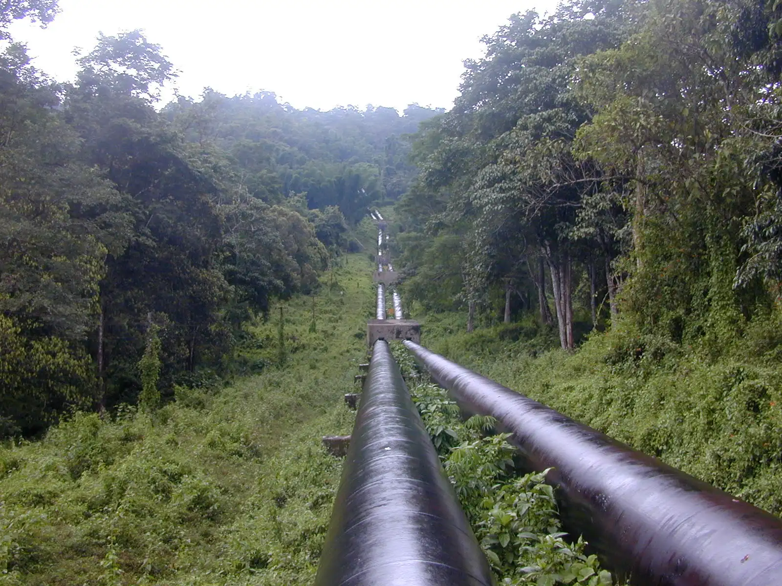Twin water pipelines running downhill through rainforest from Sholayar reservoir to the Manamboli power house