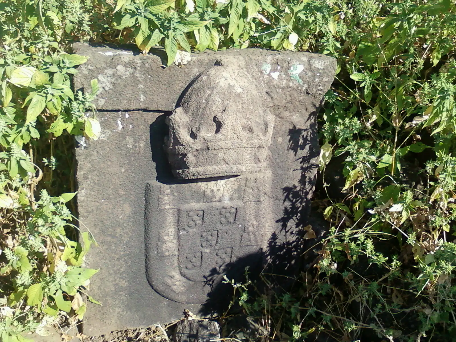 A Portuguese coat of arms carved into a stone block on Asheri fort, surrounded by green plants