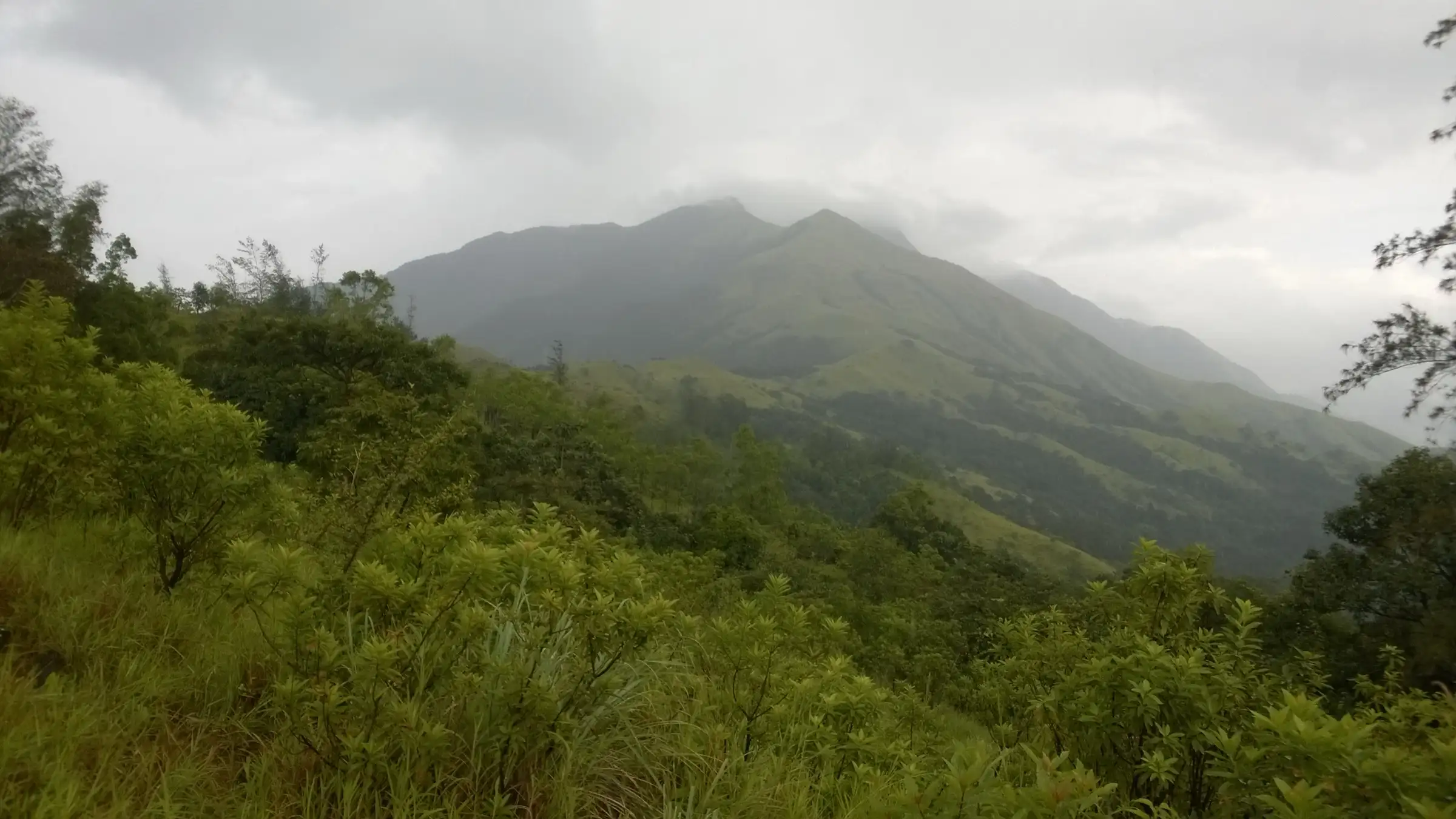 View of the Pushpagiri and Kumara Parvatha hills near the trek, with forested slopes and grassy ridges