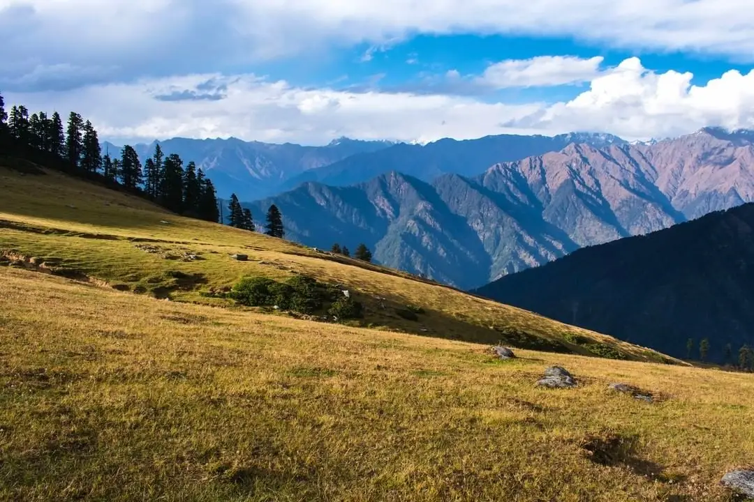 Golden grass slopes of Pushtara Bugyal edged by conifers, with layered mountain ridges under white clouds
