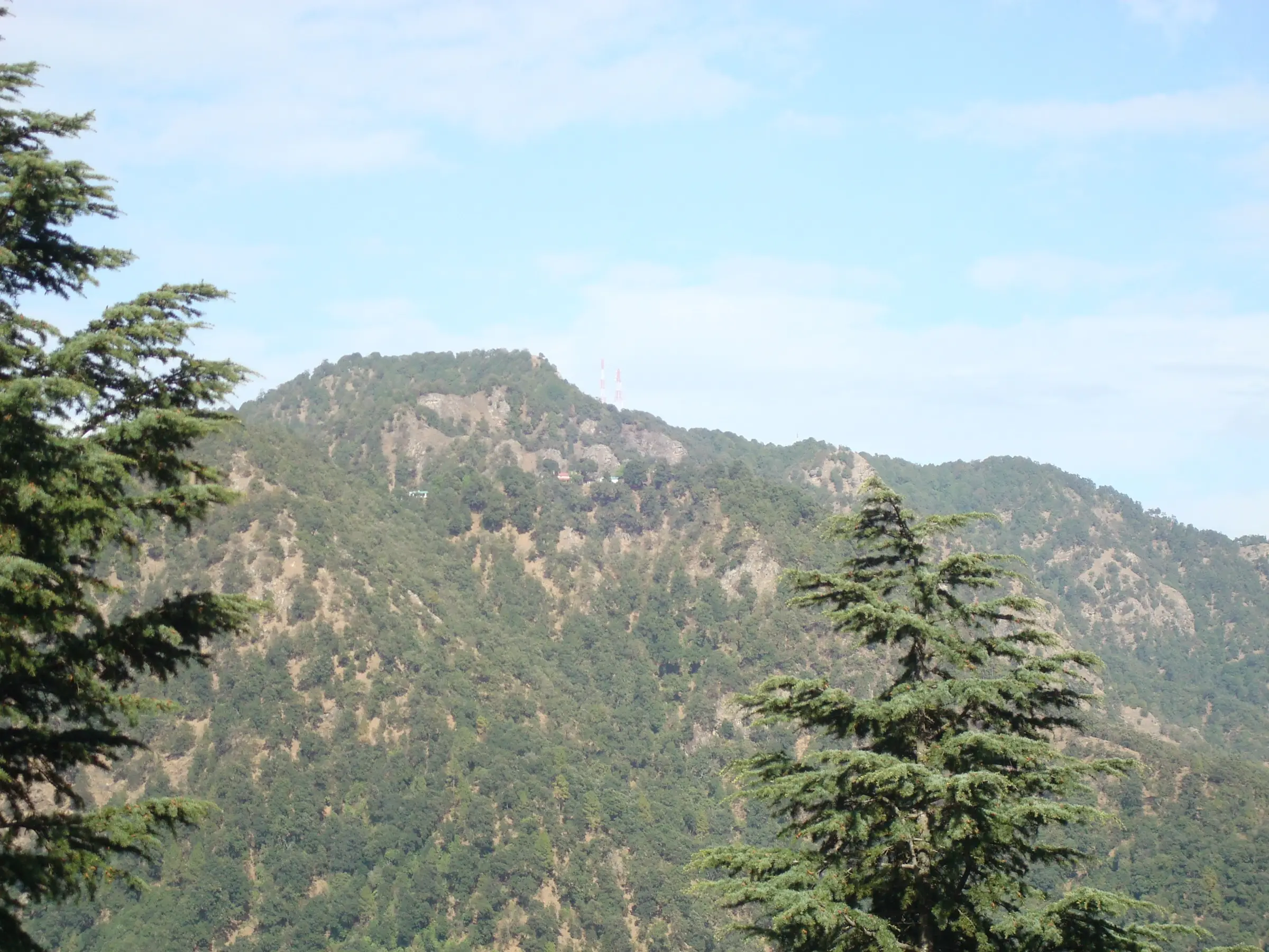 Forested hill with rocky outcrops near Ramgarh framed by deodar trees