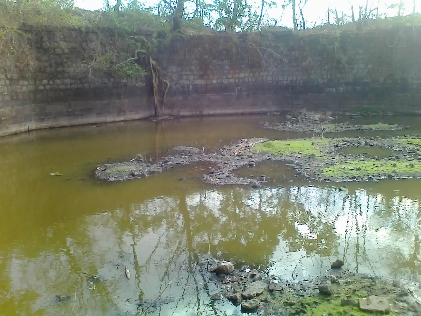 Large stone-walled reservoir on Avchitgad fort holding green water