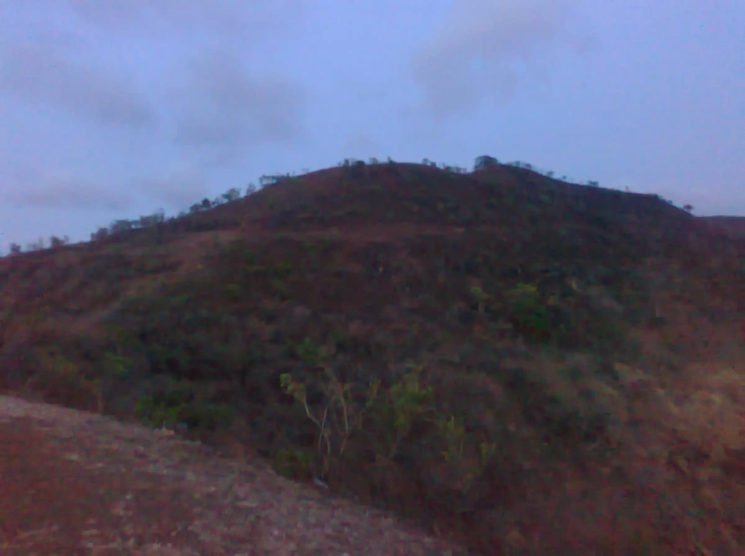 A scrub-covered hill on the Katraj-Sinhagad ridge in the early morning light under a pale blue sky
