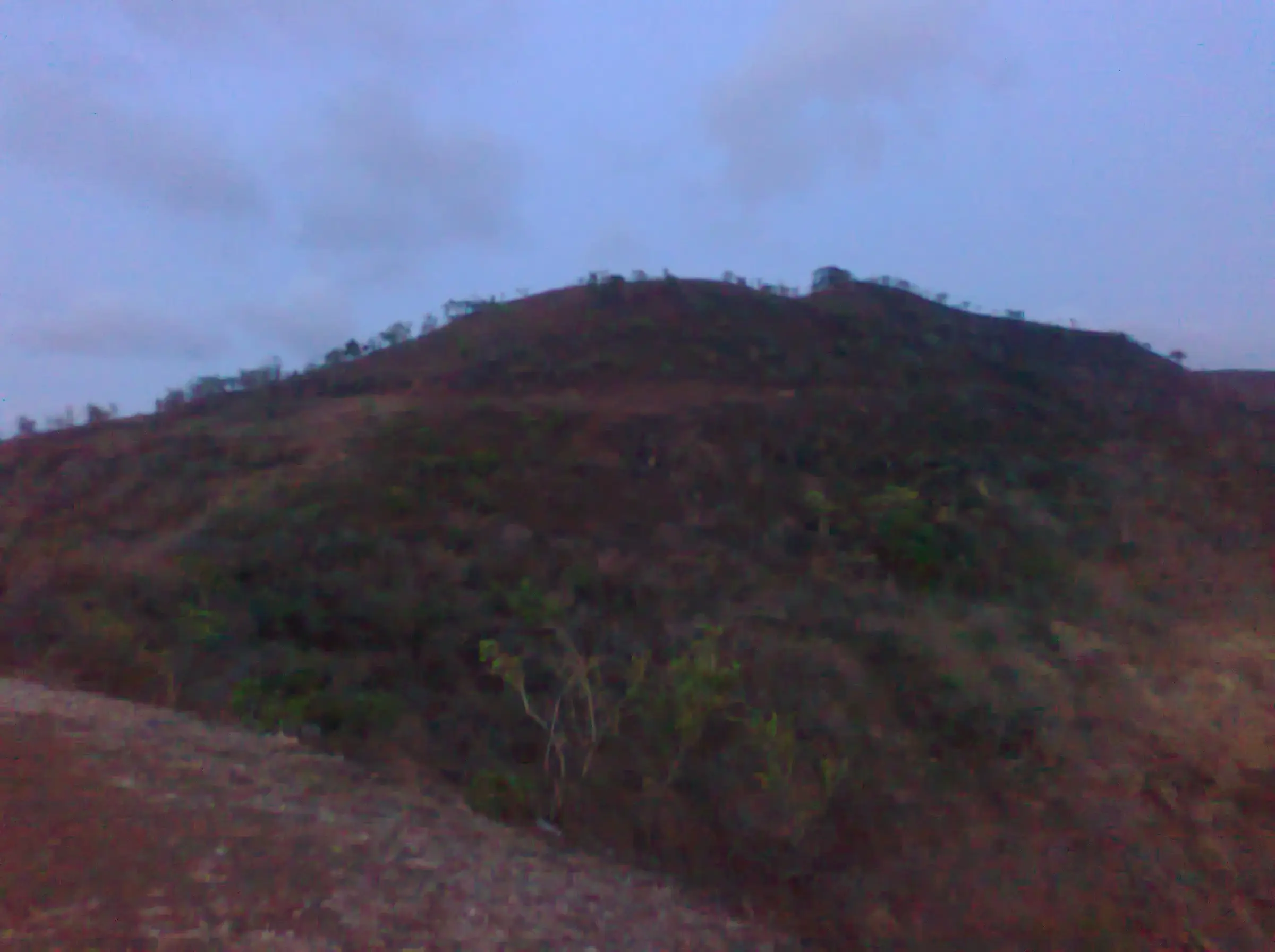 A scrub-covered hill on the Katraj-Sinhagad ridge in the early morning light under a pale blue sky