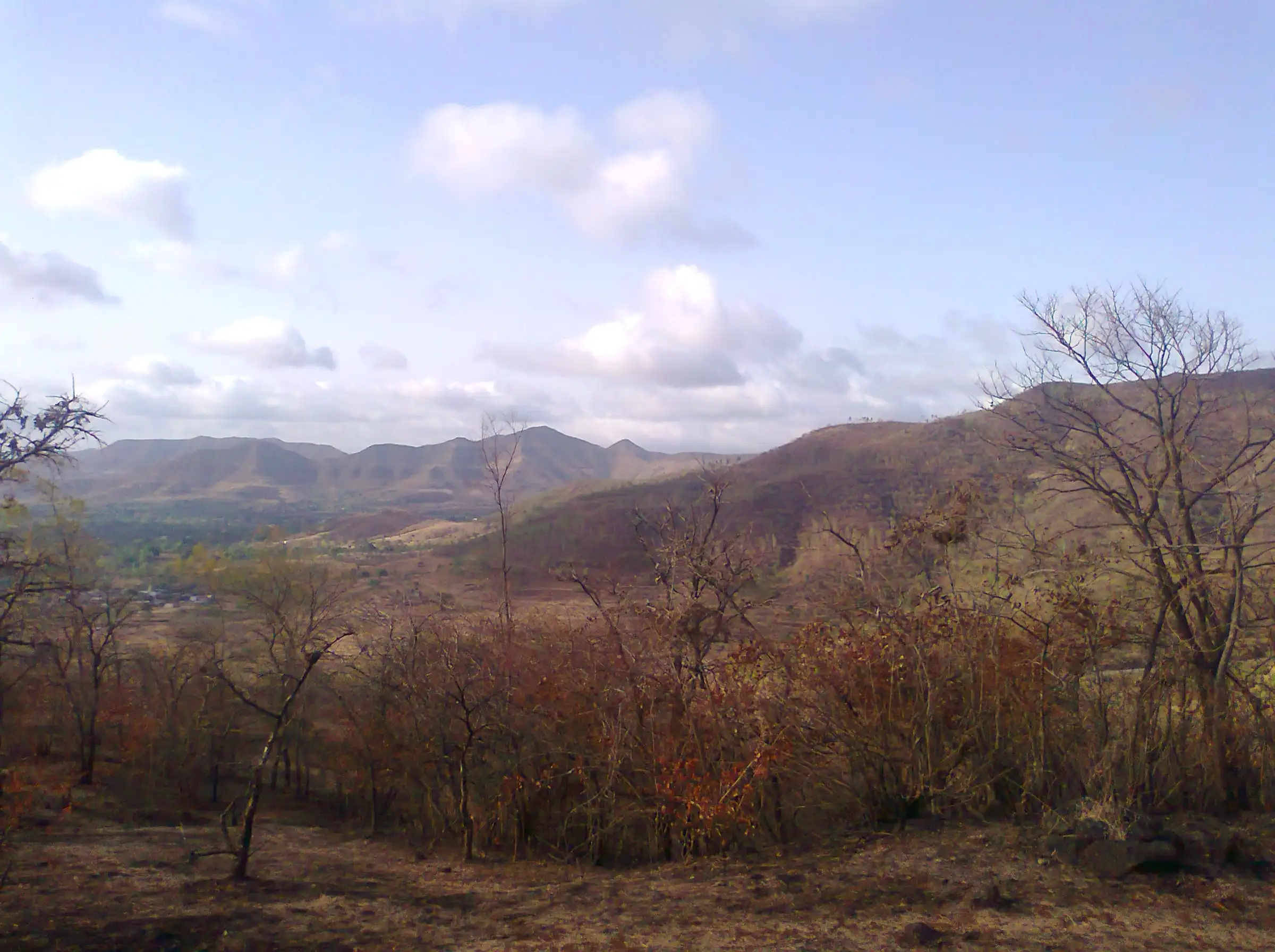 Bare trees and dry scrub on the ridge with a valley and distant Sahyadri hills under white clouds