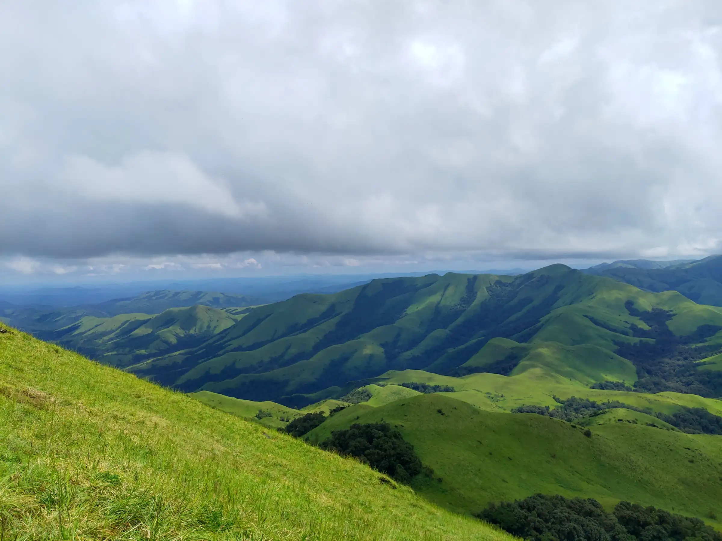 Steep grass slope of Gangadikal dropping towards rolling green hills of Kudremukh National Park under low cloud