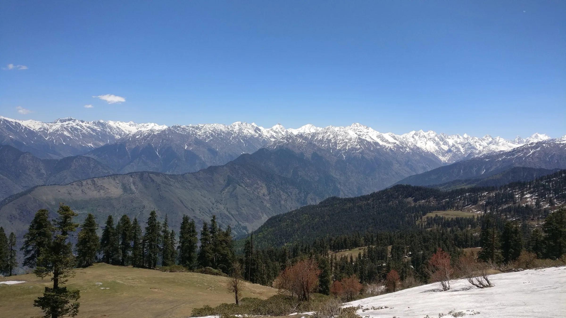 View from Phulara Ridge over conifer forest and melting snow to a long line of snow-capped Garhwal peaks under a clear blue sky